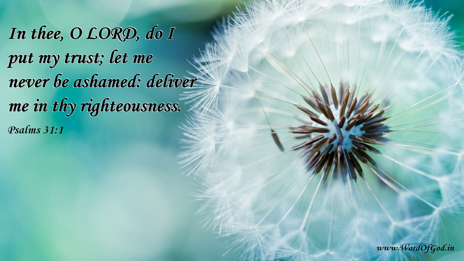 KJV Psalms Chapter 31 Download