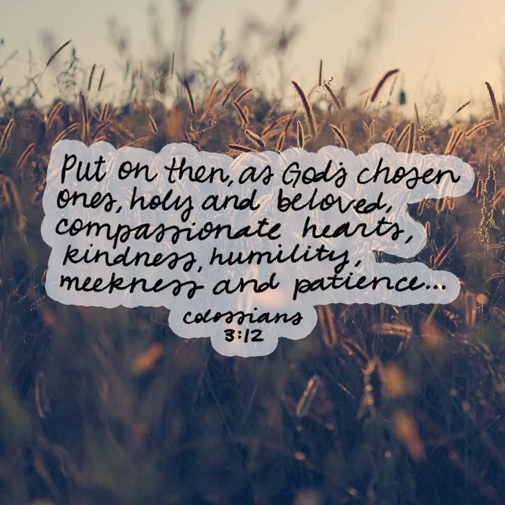 Lord. 31