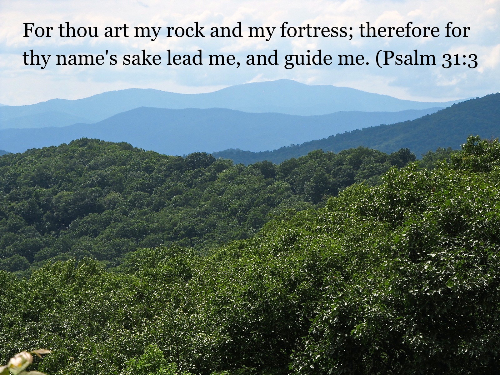 God's Will or My Will? Psalm 31:3