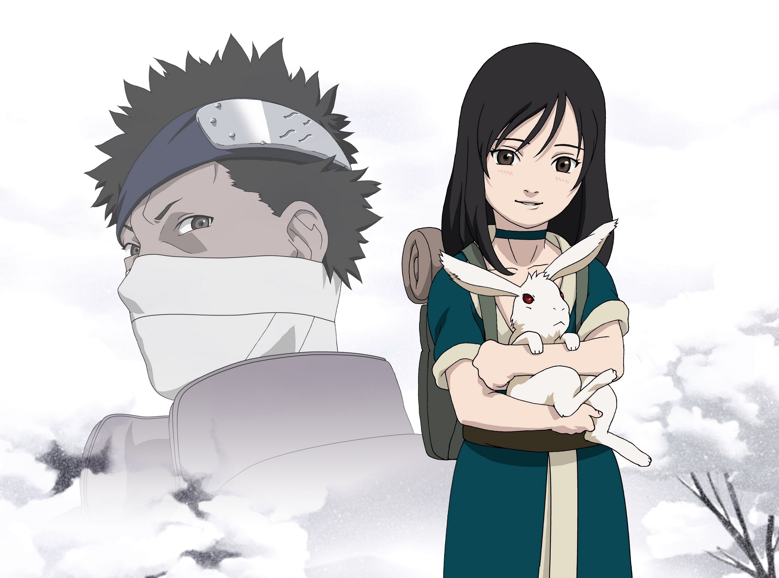 Wallpaper art, naruto, Haku, Zabuza