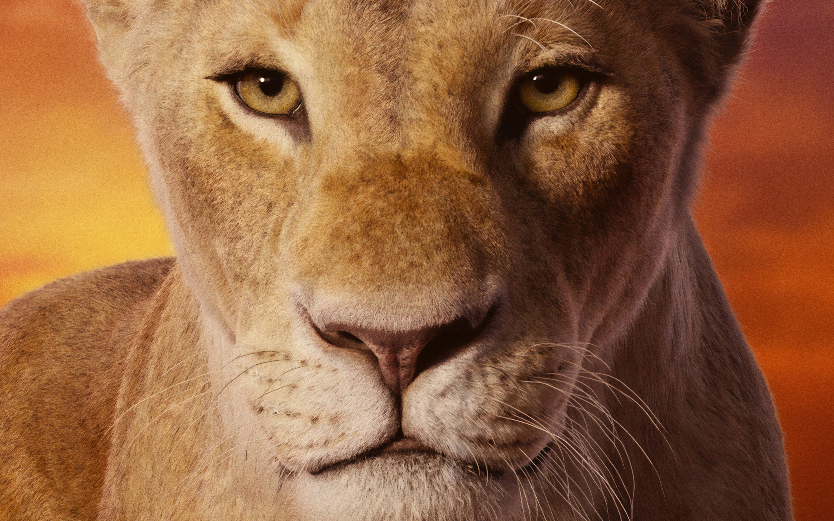 The Lion King 2019 Nala 4K Wallpaper