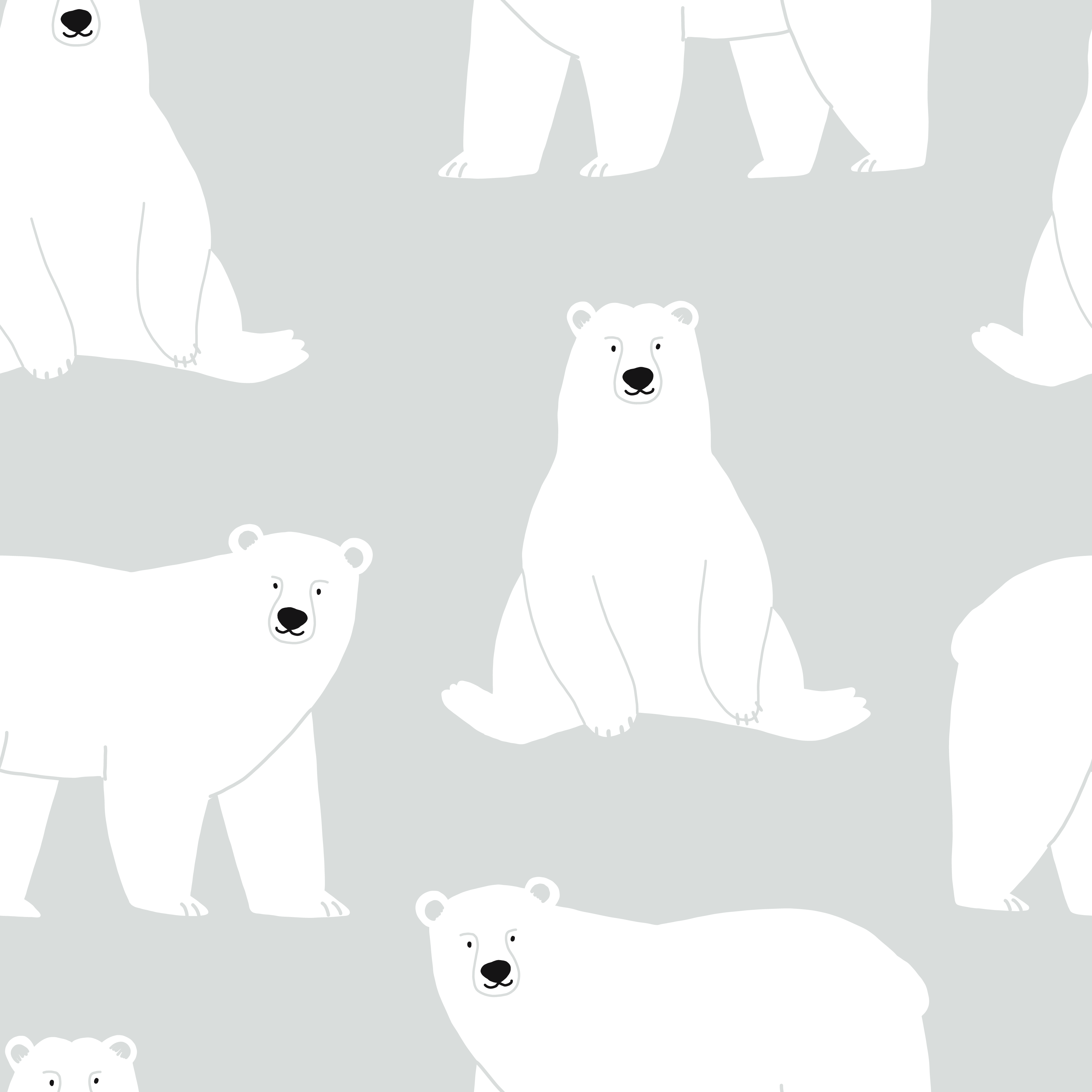 Wallpaper: White bear
