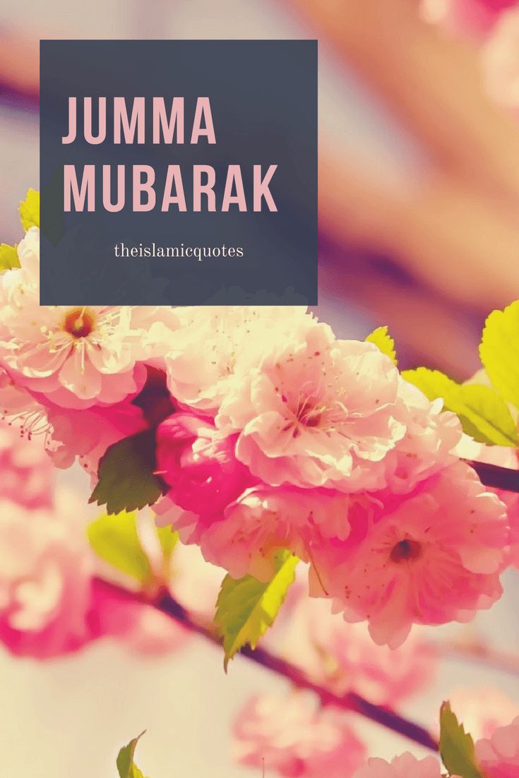Best Jumma Mubarak SMS, Messages