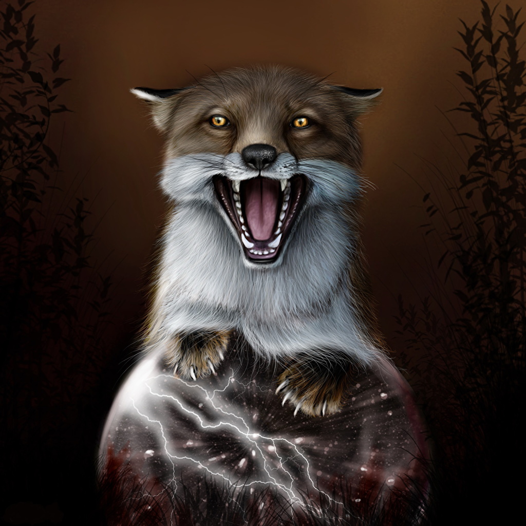 Photo Foxes Magic Fantasy angry