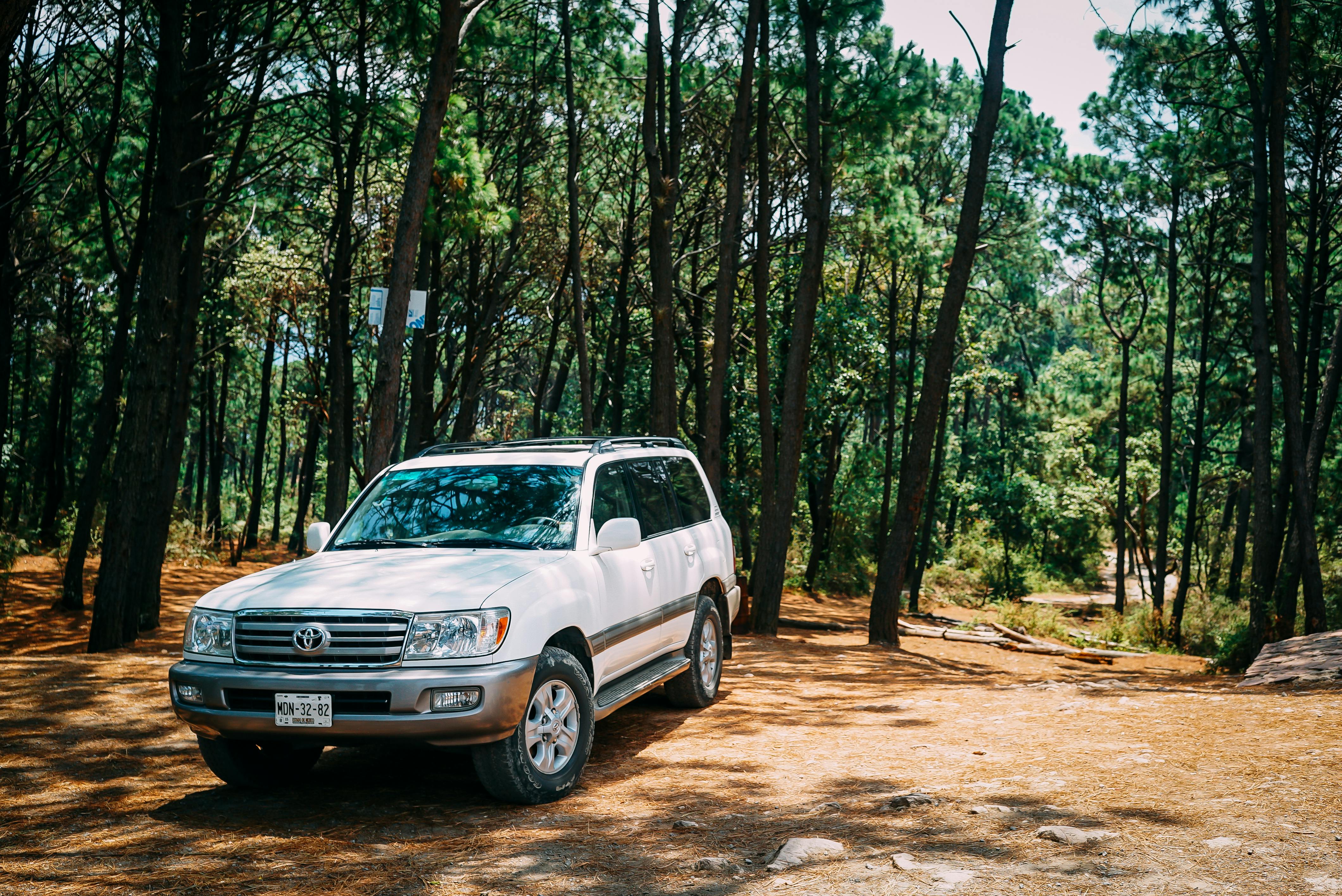 Toyota Land Cruiser Photo, Download
