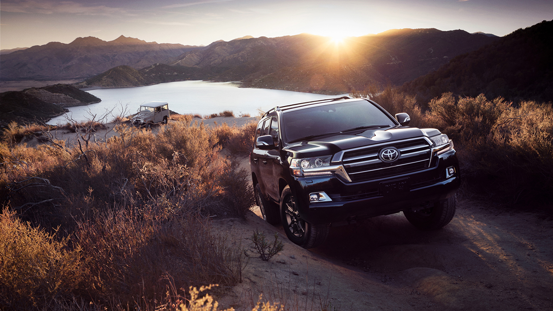 Toyota Sport utility vehicle 2020