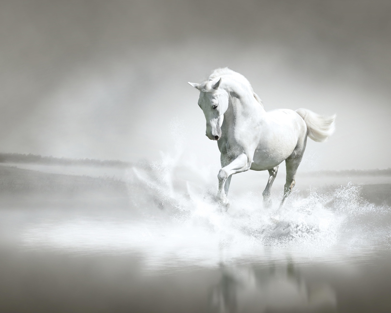 Desktop wallpaper 1280x1024