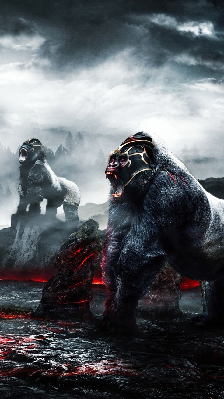 Gorilla wallpaper, Gorilla, Gorillas art