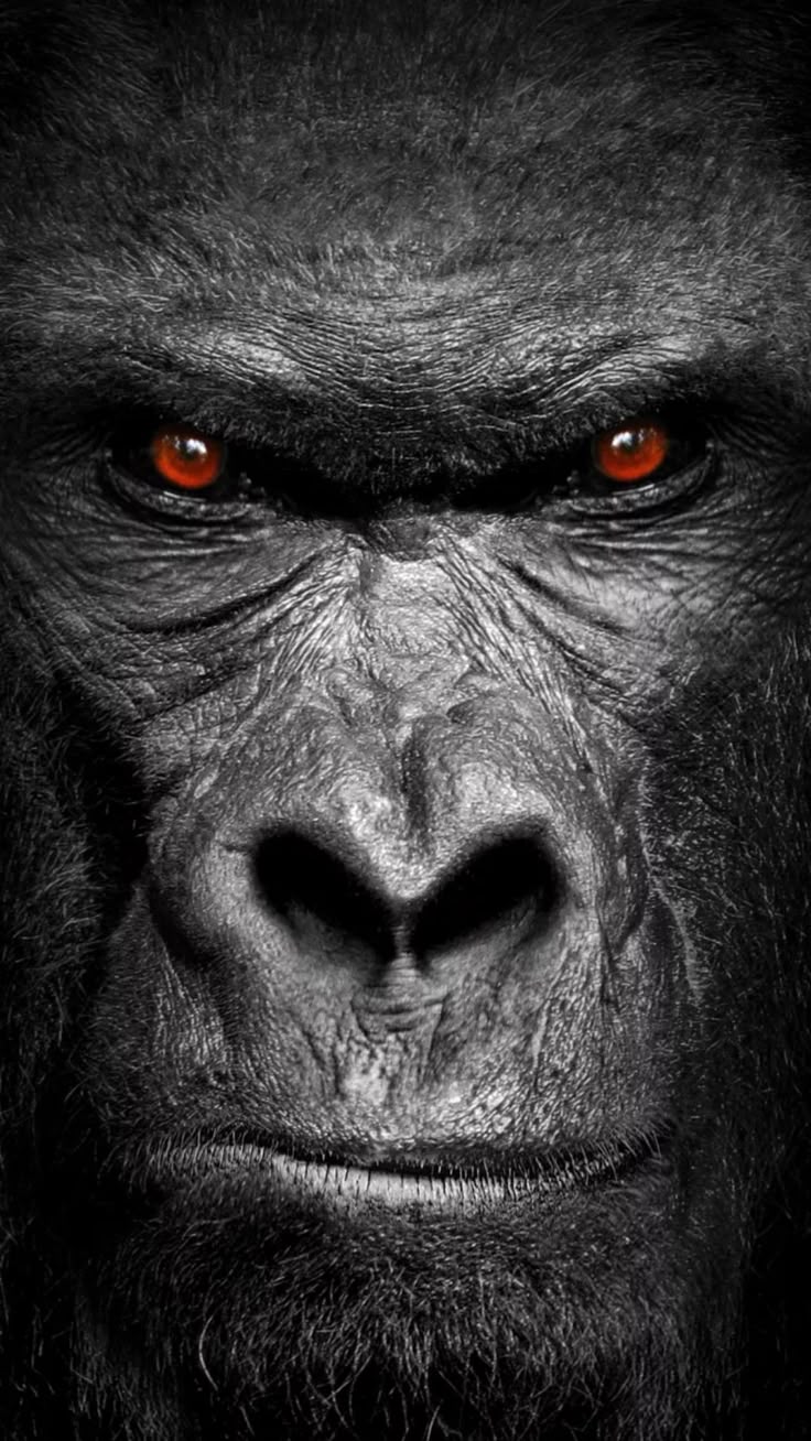 Intense Gorilla Face with Red Eyes