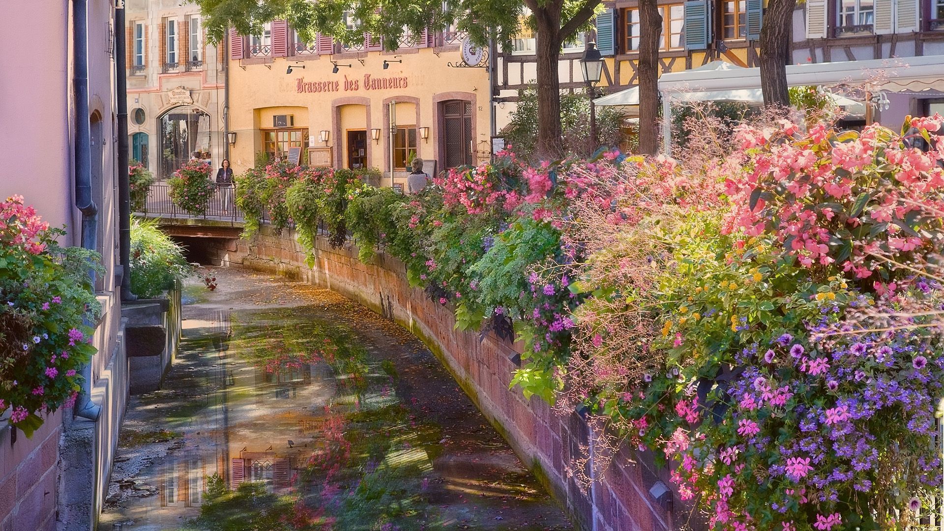 French Aesthetic Desktop Wallpaper