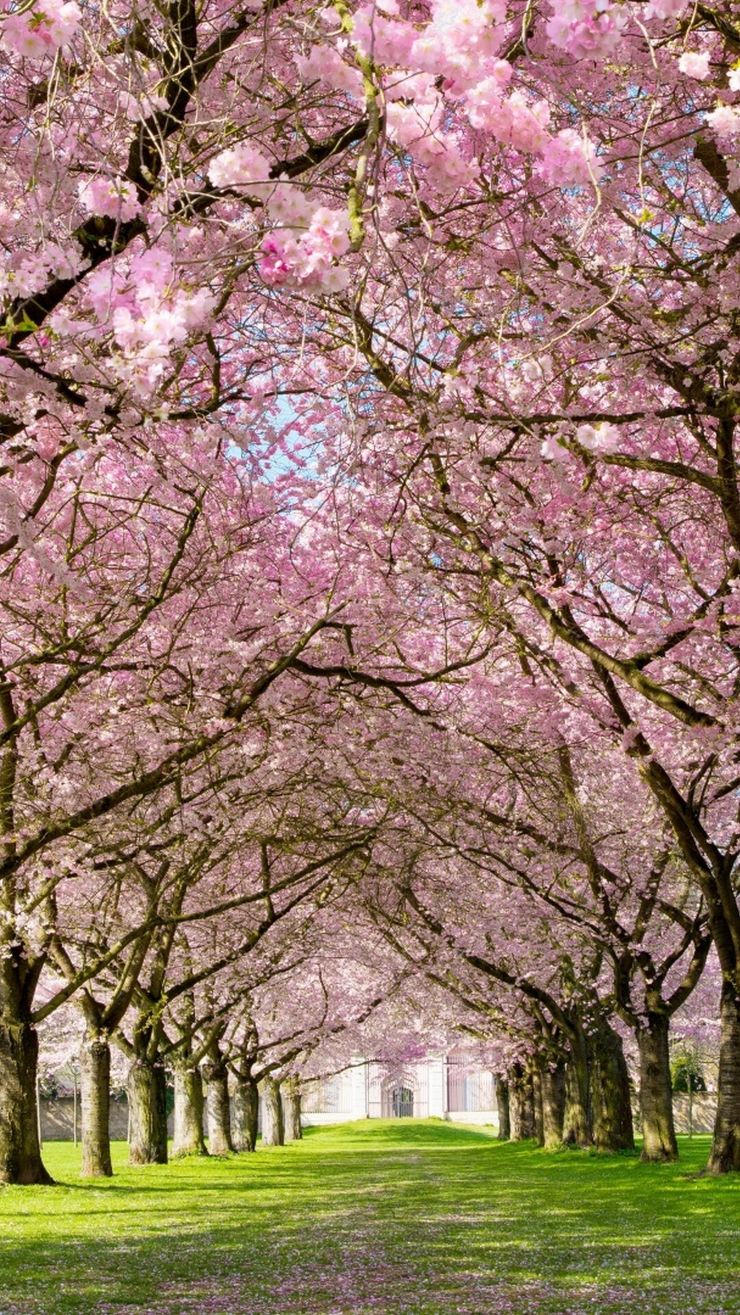 HD Mobile Spring Wallpapers - Wallpaper Cave