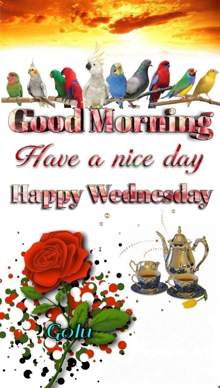 Happy Wednesday Morning Greetings