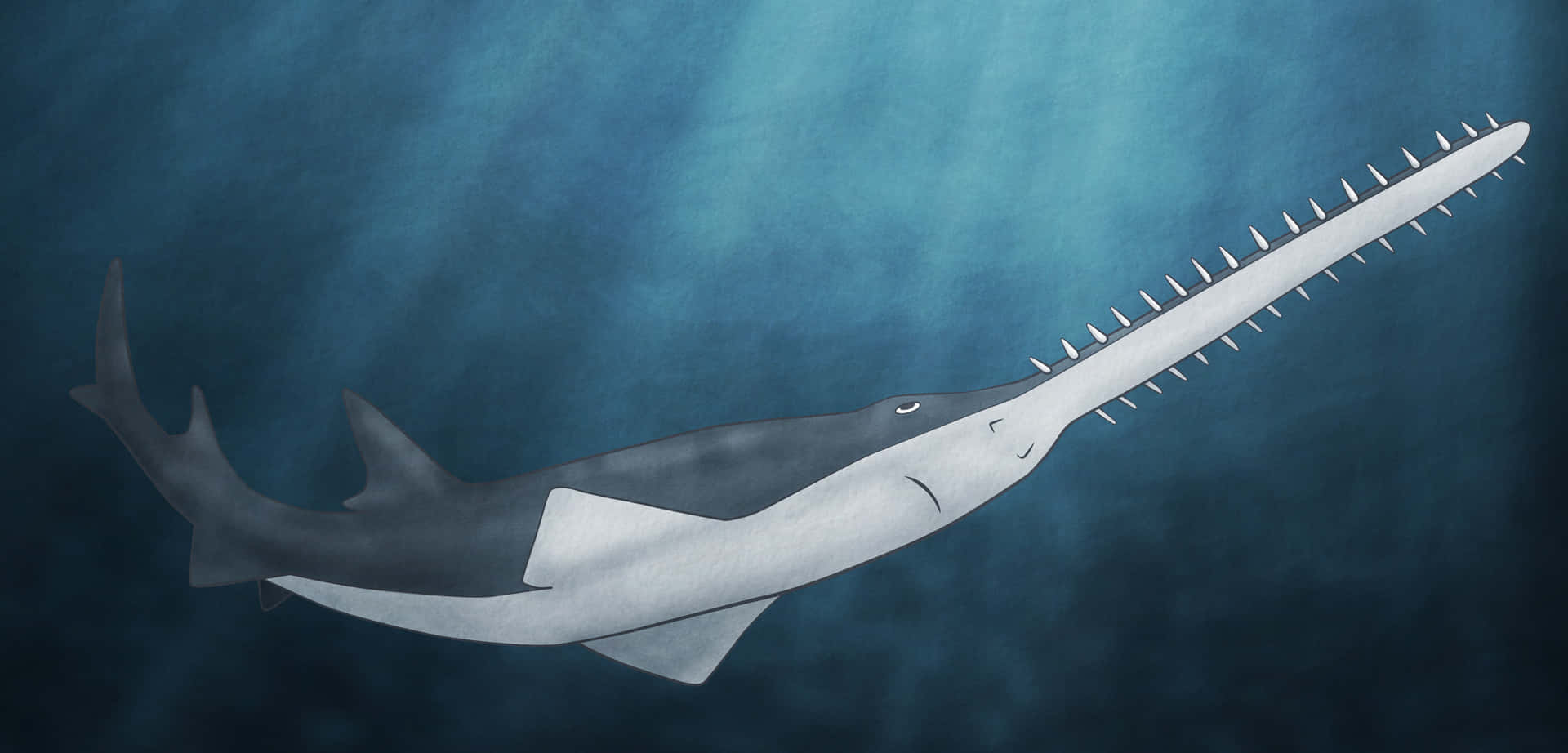 Sawfish Wallpaper