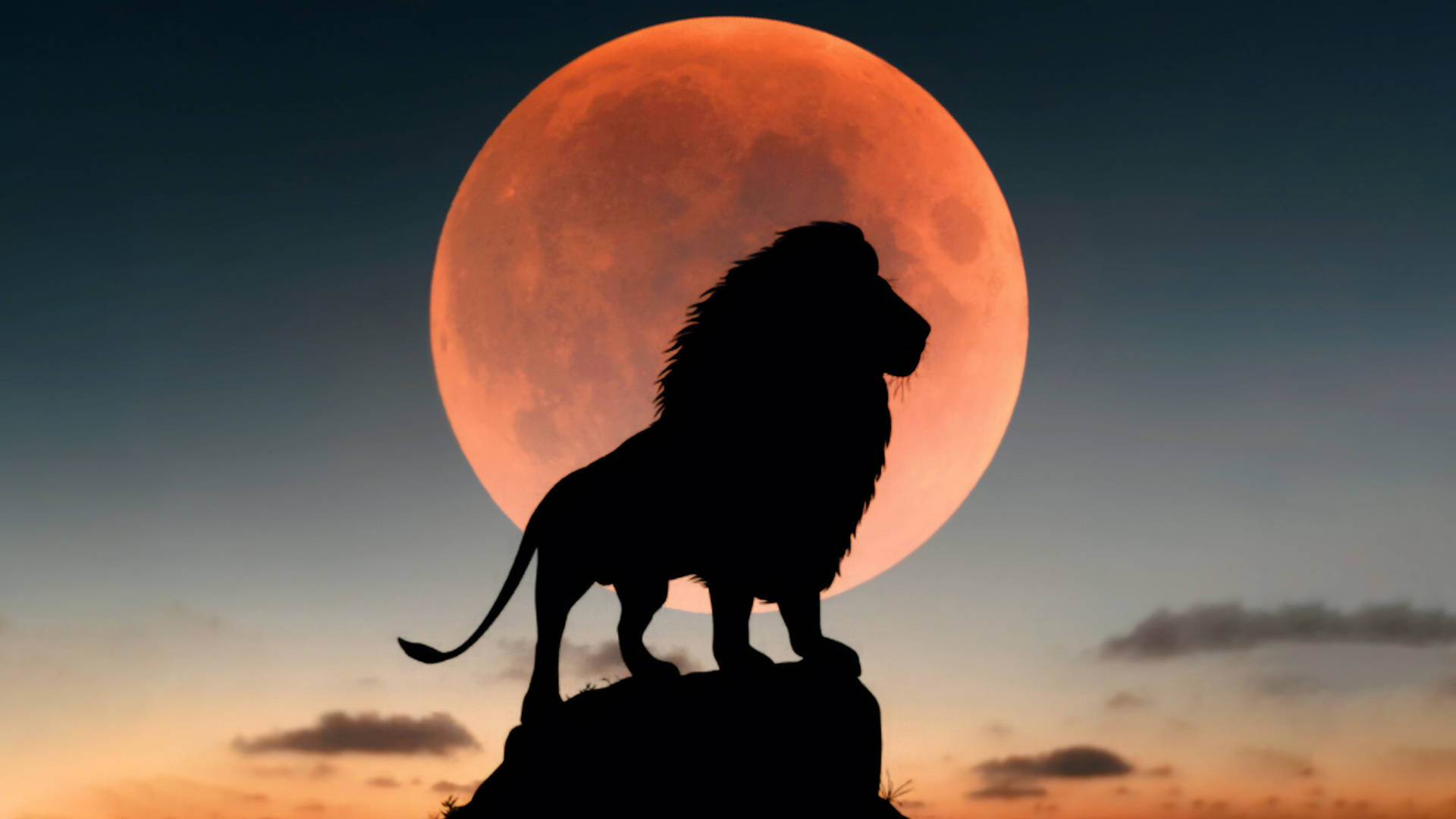 4k Ultra HD Lions Red Full Moon