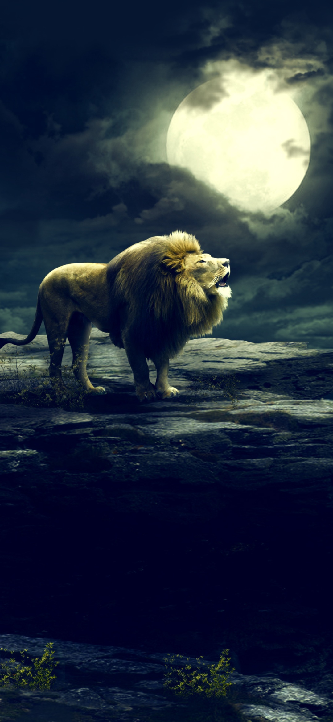 Wallpaper Wildlife, Cloud, Atmosphere