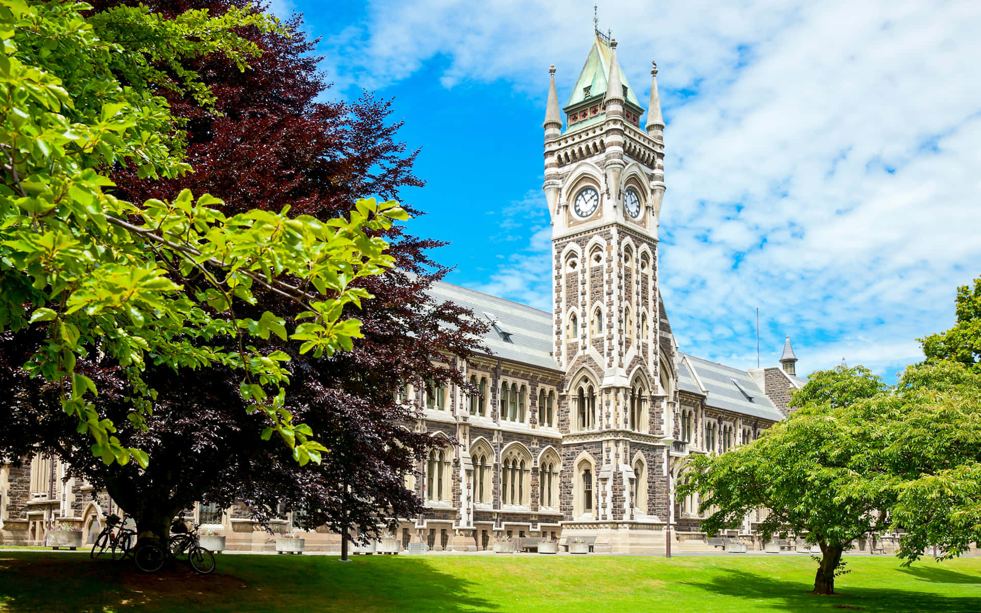 Download Universityof Otago Clocktower