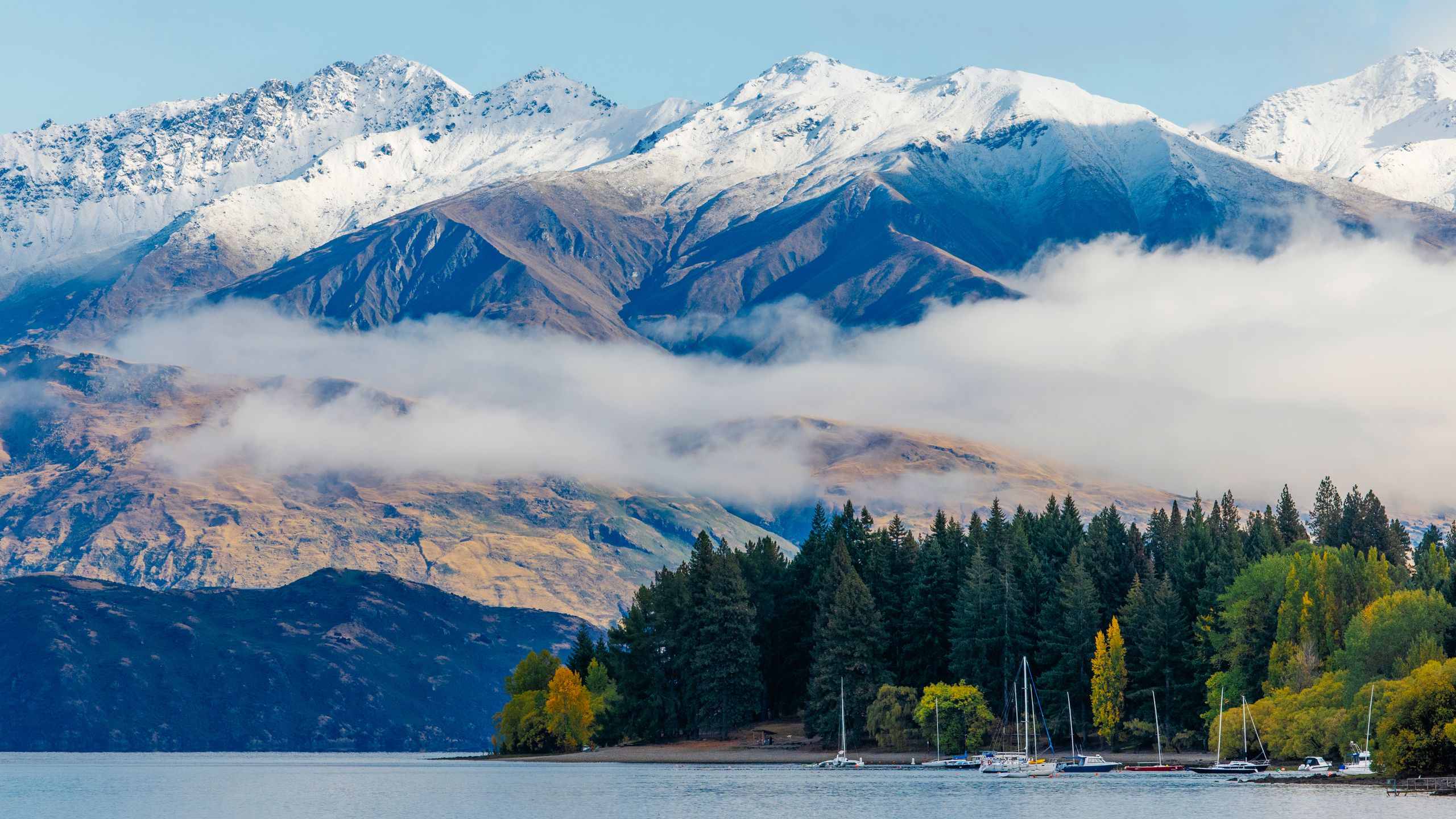In New Zealand's Otago Region, Dynamic