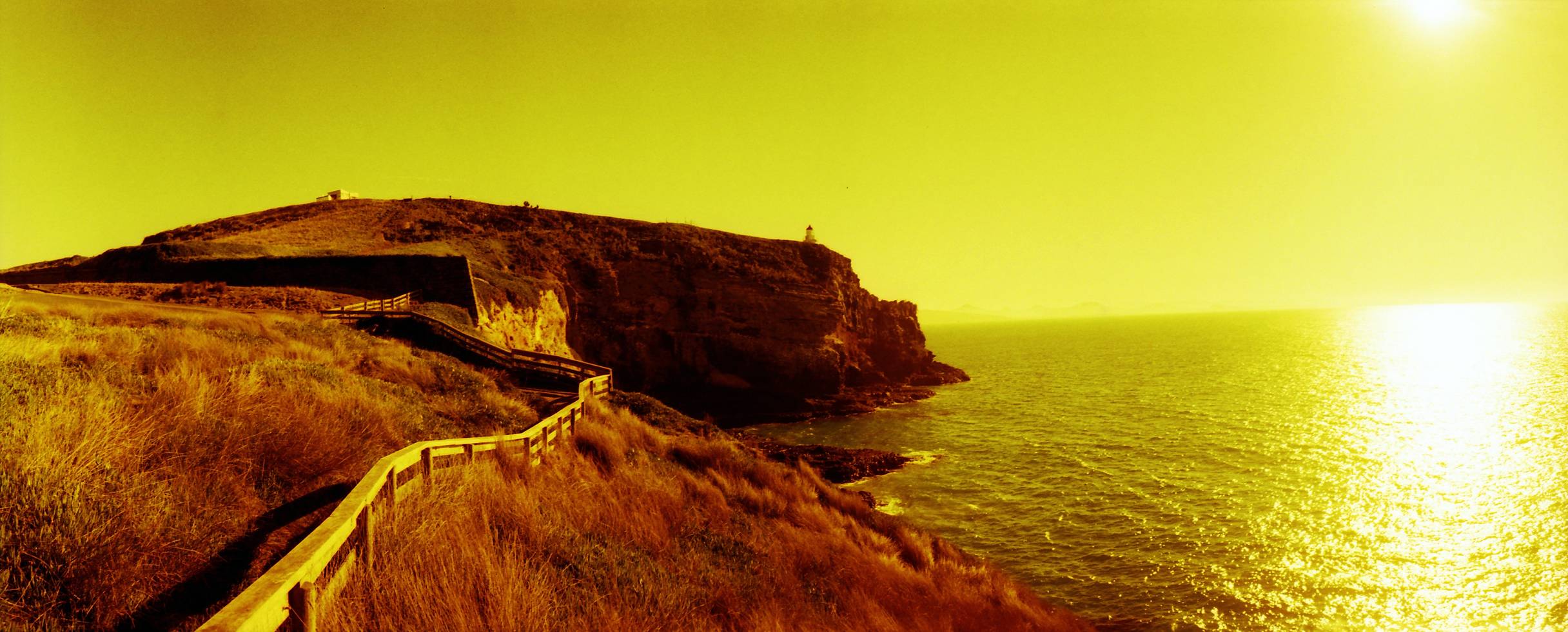 The Beauty of Otago Peninsula, New