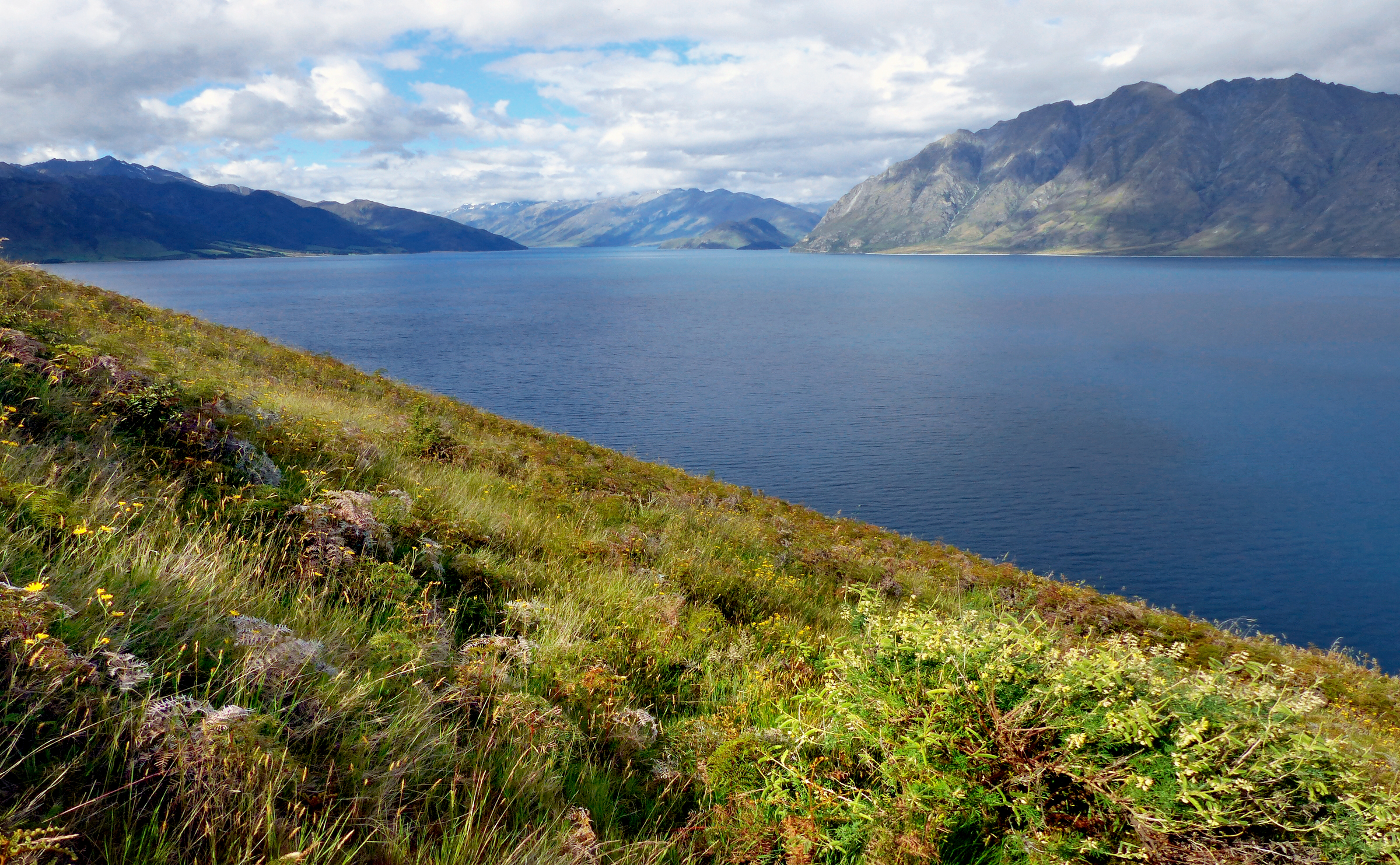 Lake Hawea. Otago. New Zealand
