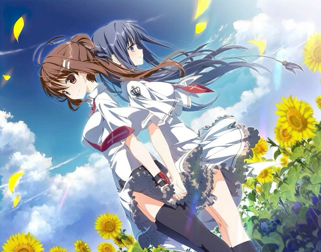 Wonderful Everyday Down The Rabbit Hole