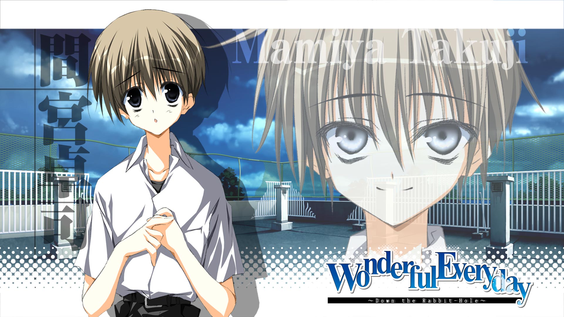 Wonderful Everyday Down The Rabbit Hole