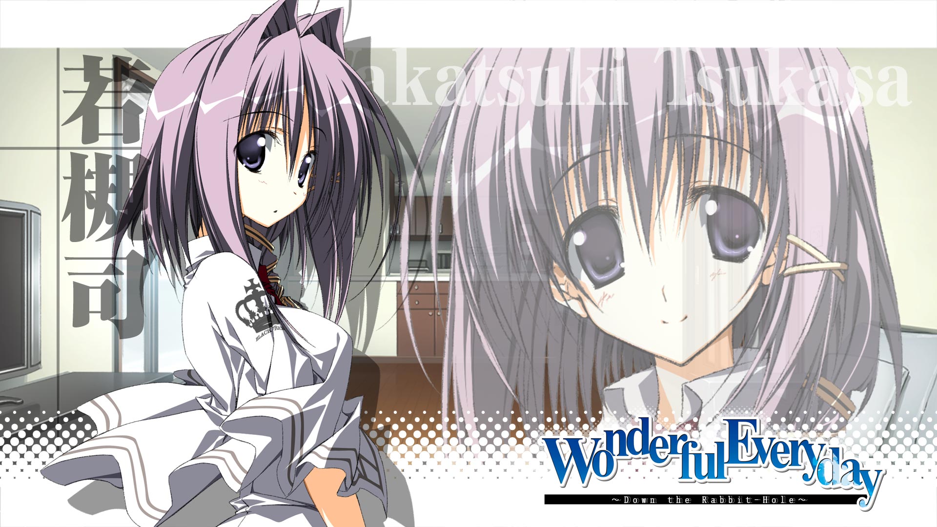 Wonderful Everyday Down The Rabbit Hole