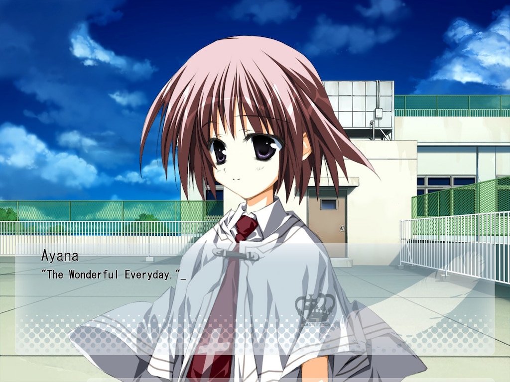 Wonderful Everyday Down The Rabbit Hole