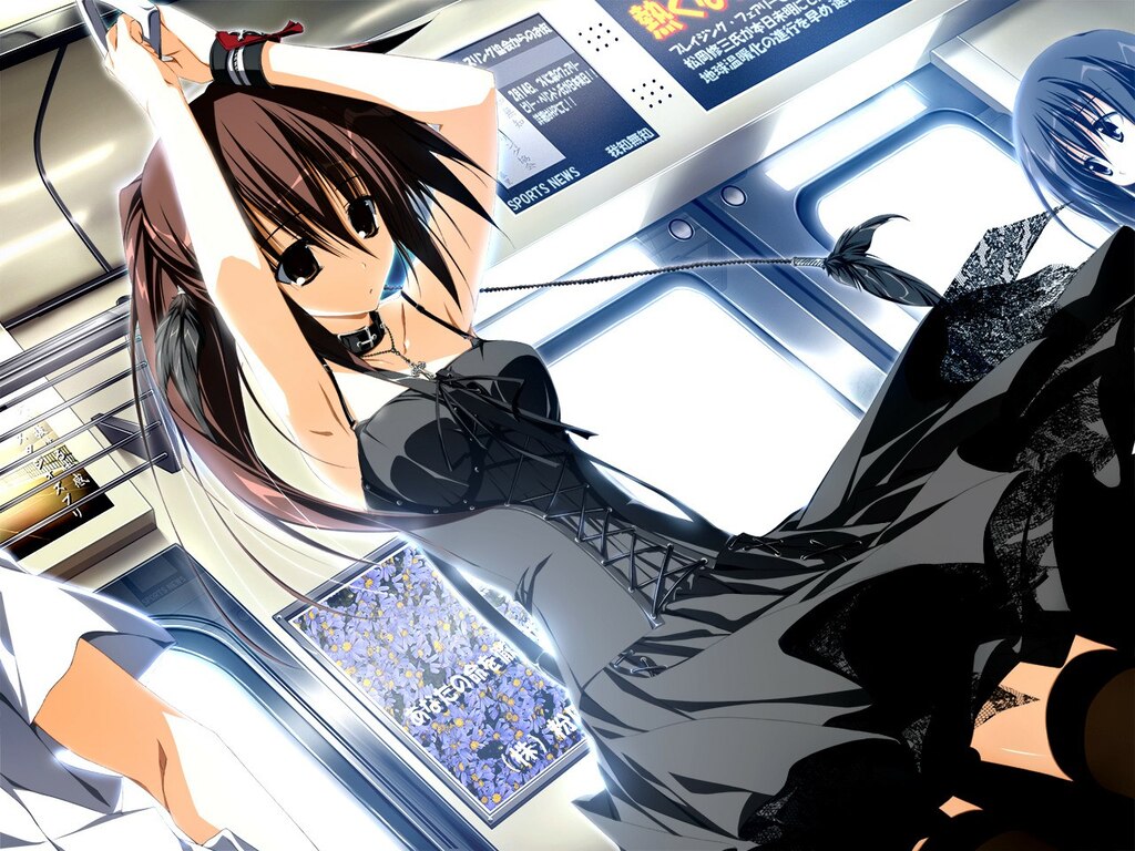 Wonderful Everyday Down The Rabbit Hole