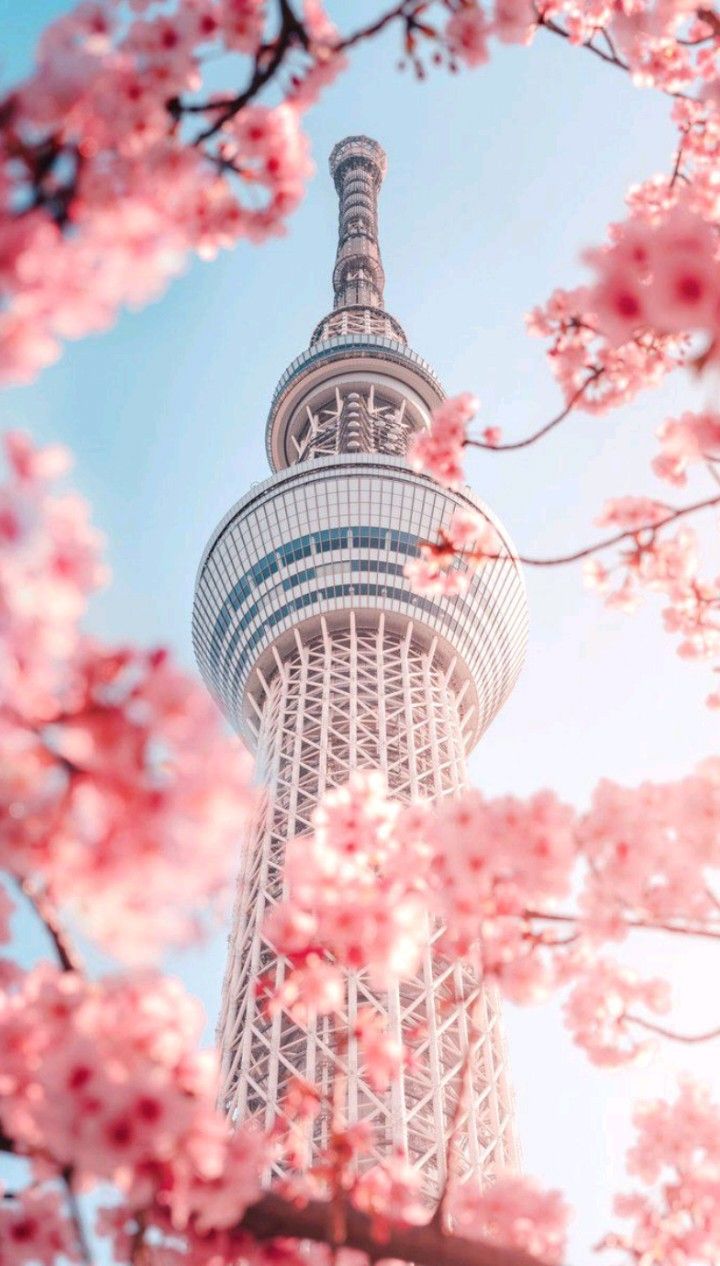 Wallpaper ideas. scenery wallpaper