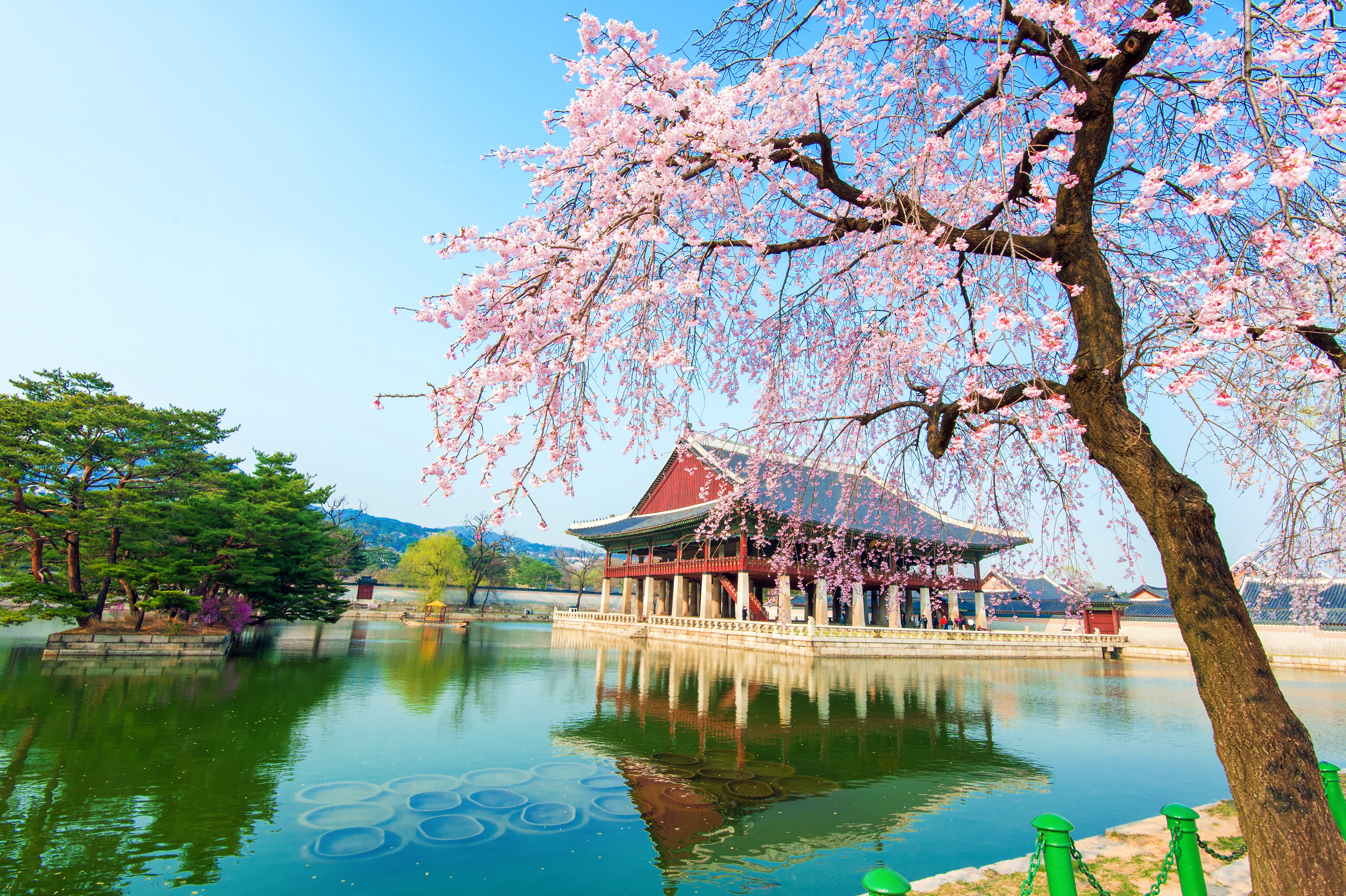 South Korea, Korea, pink, Palace