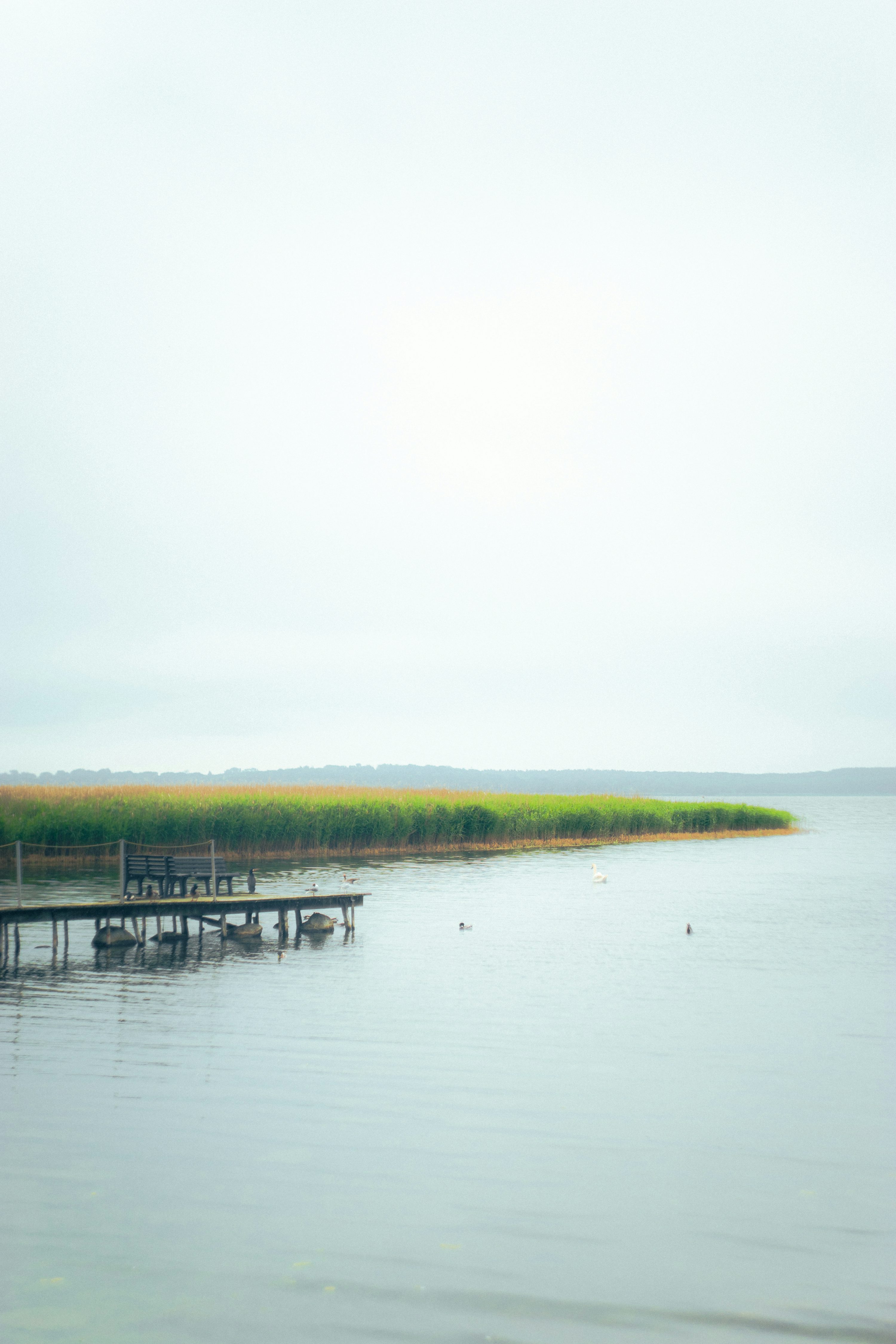 Rainy Beach Picture. Download Free