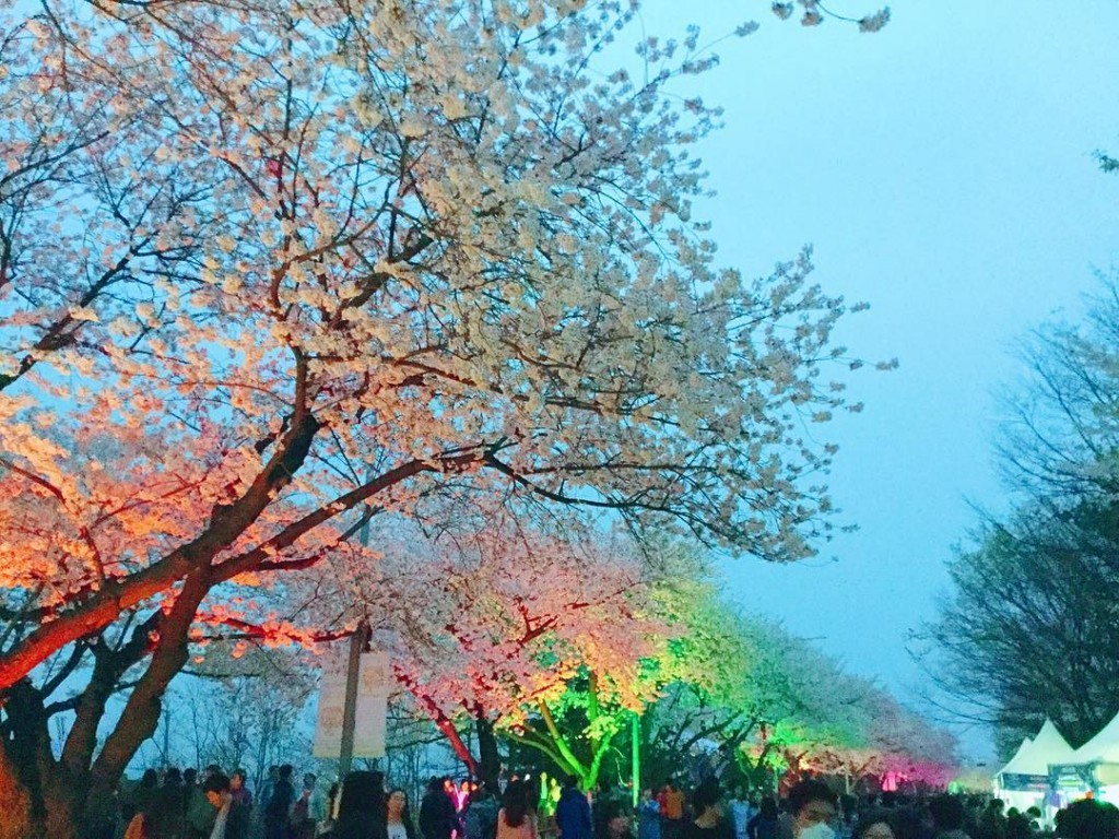 Best Springtime Destinations