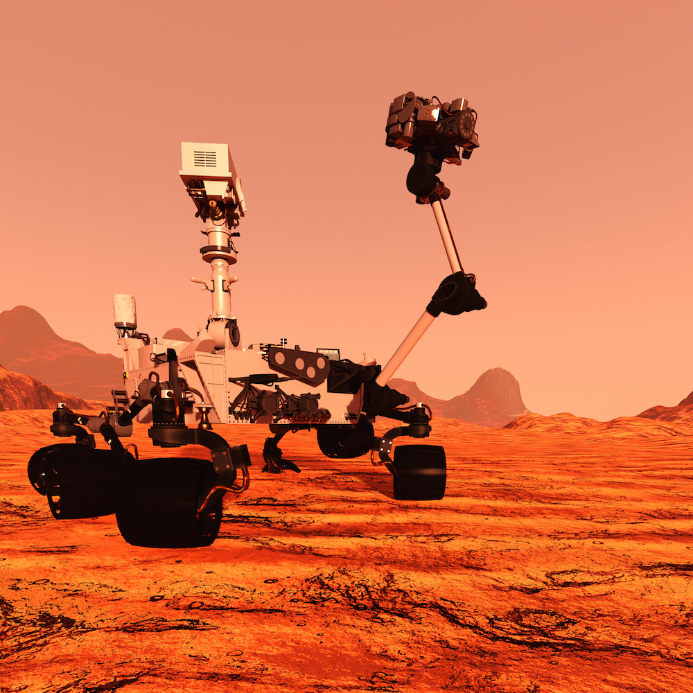 Baby You Can Drive My Rover