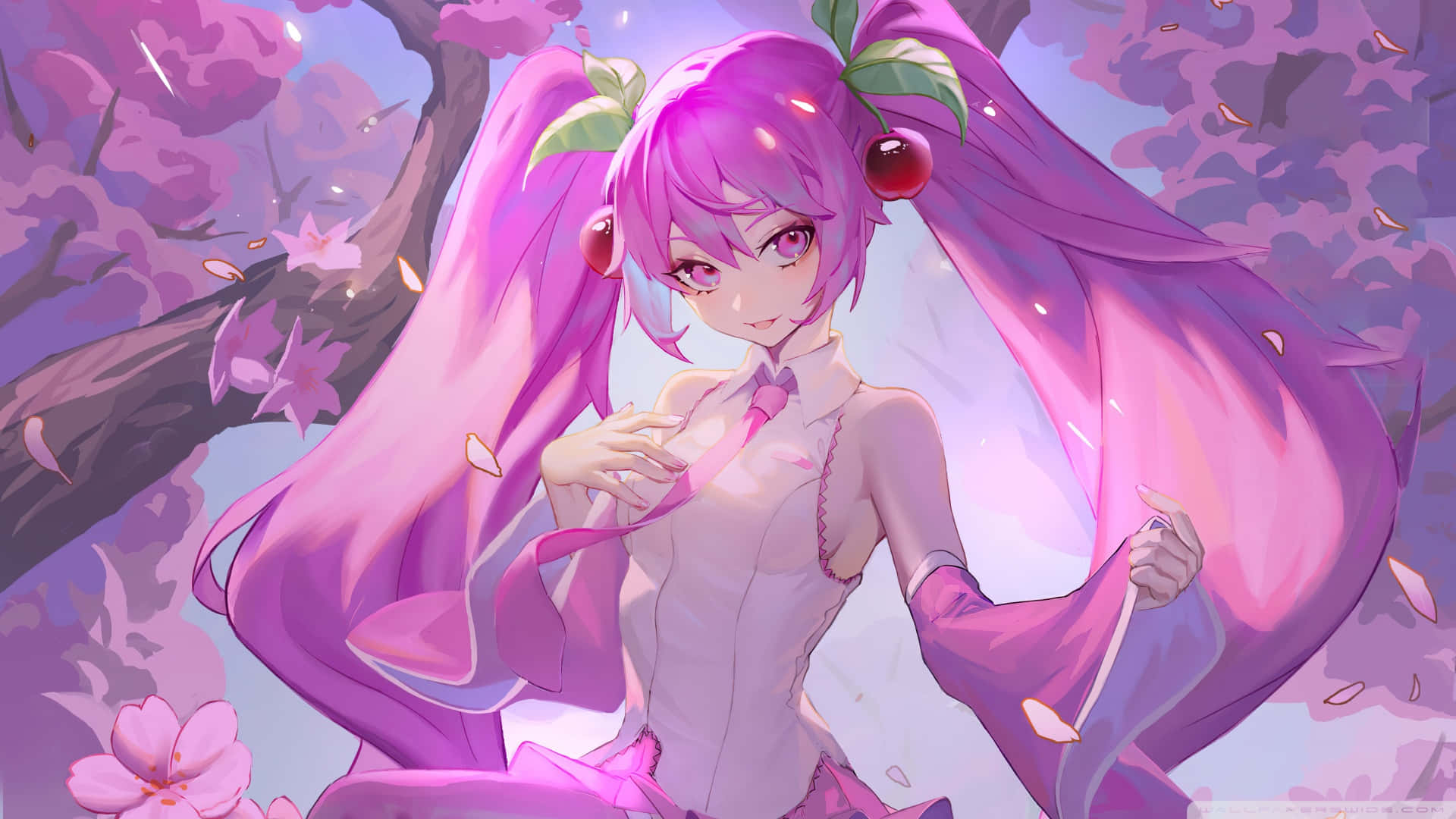 Download 1920x1080 Anime Sakura Miku