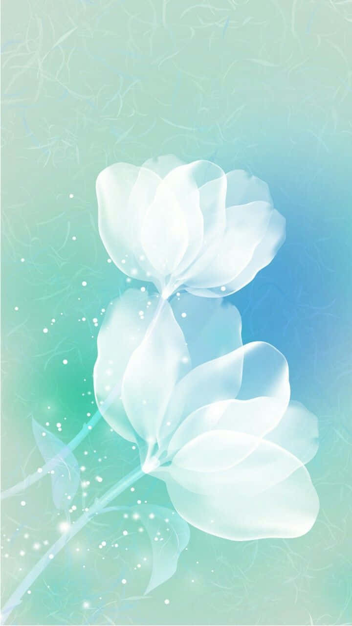 Teal Flower HD Wallpaper