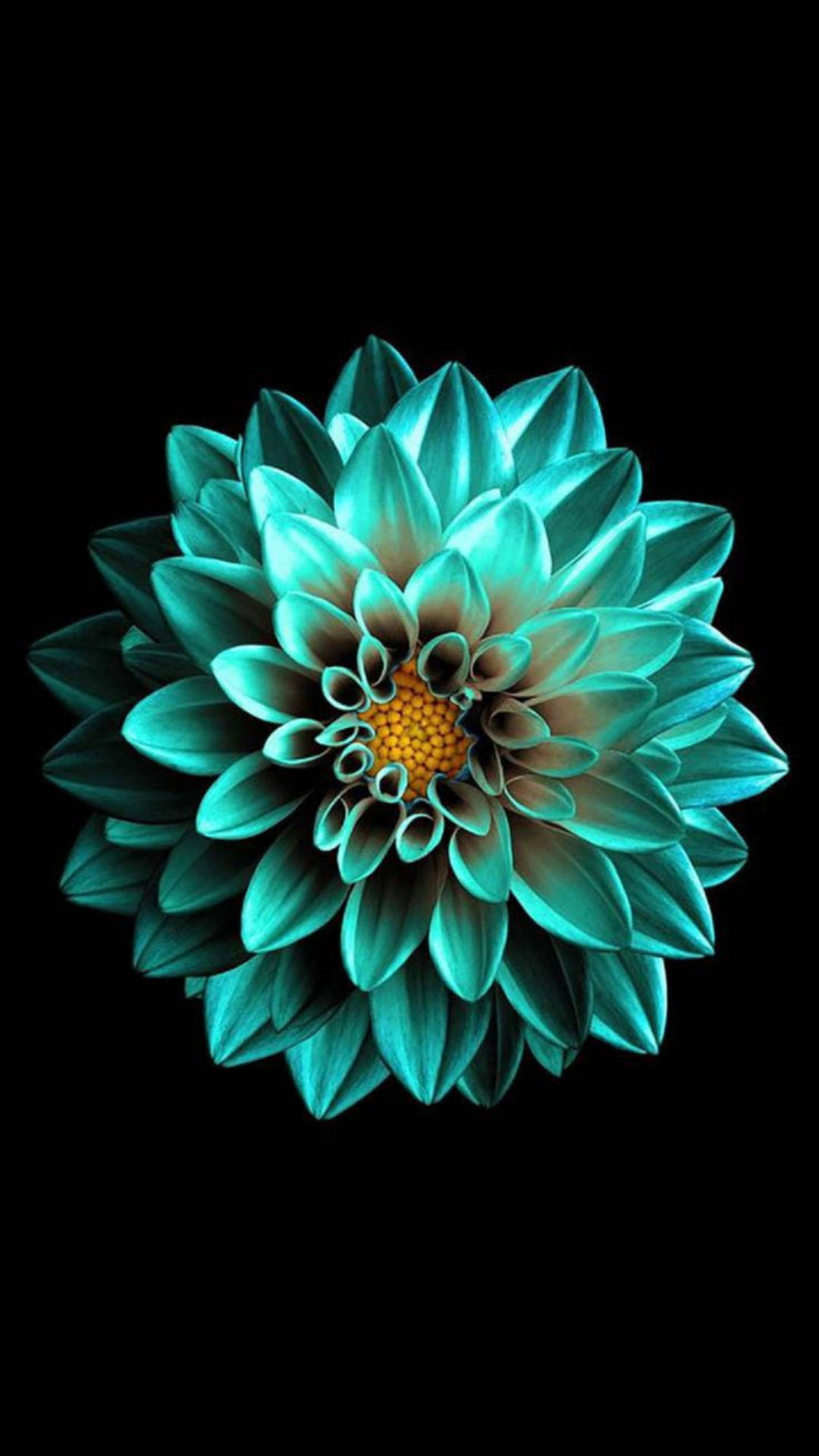 Turquoise Flower iPhone 7 Original