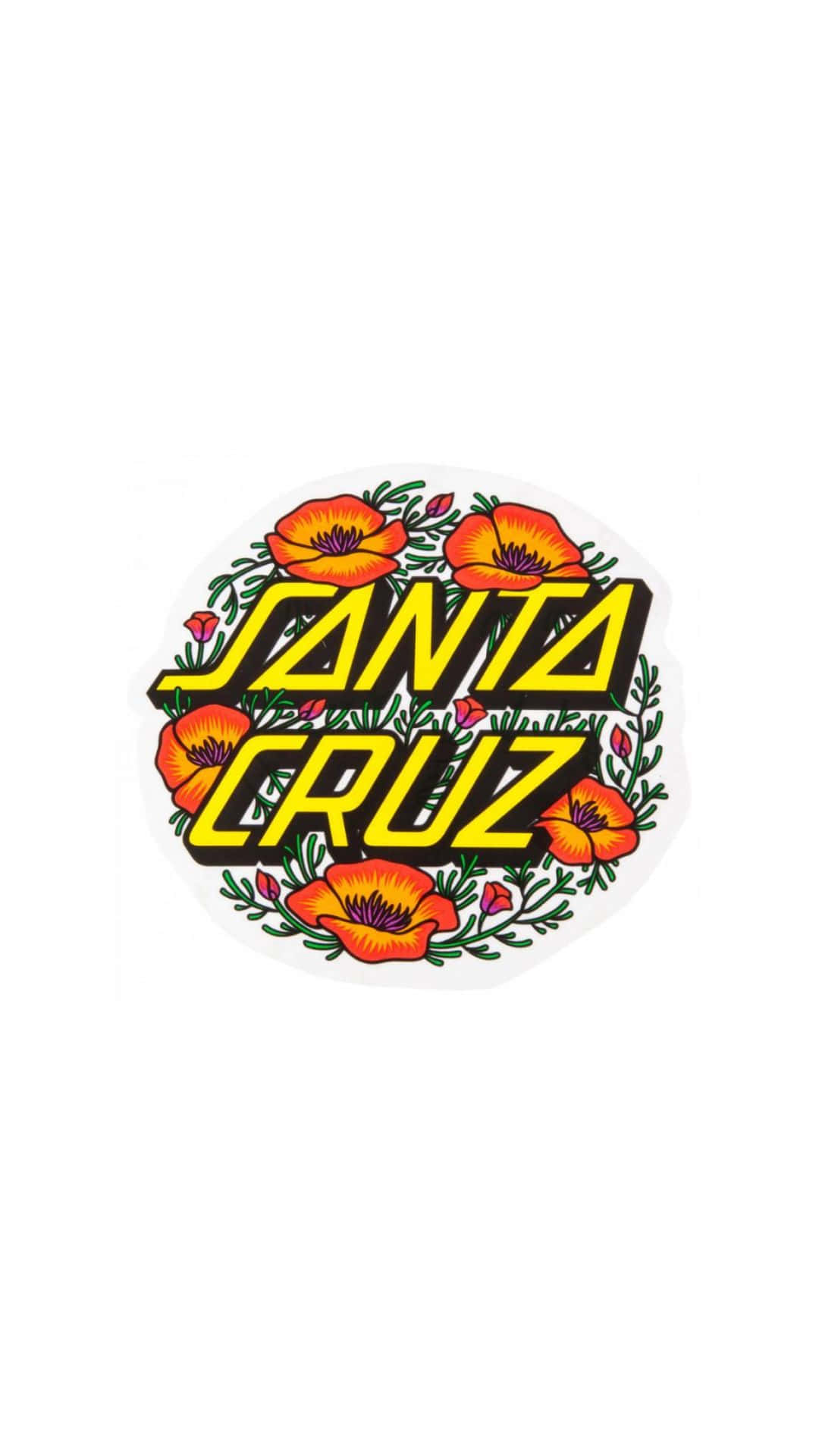 Santa Cruz Wallpaper