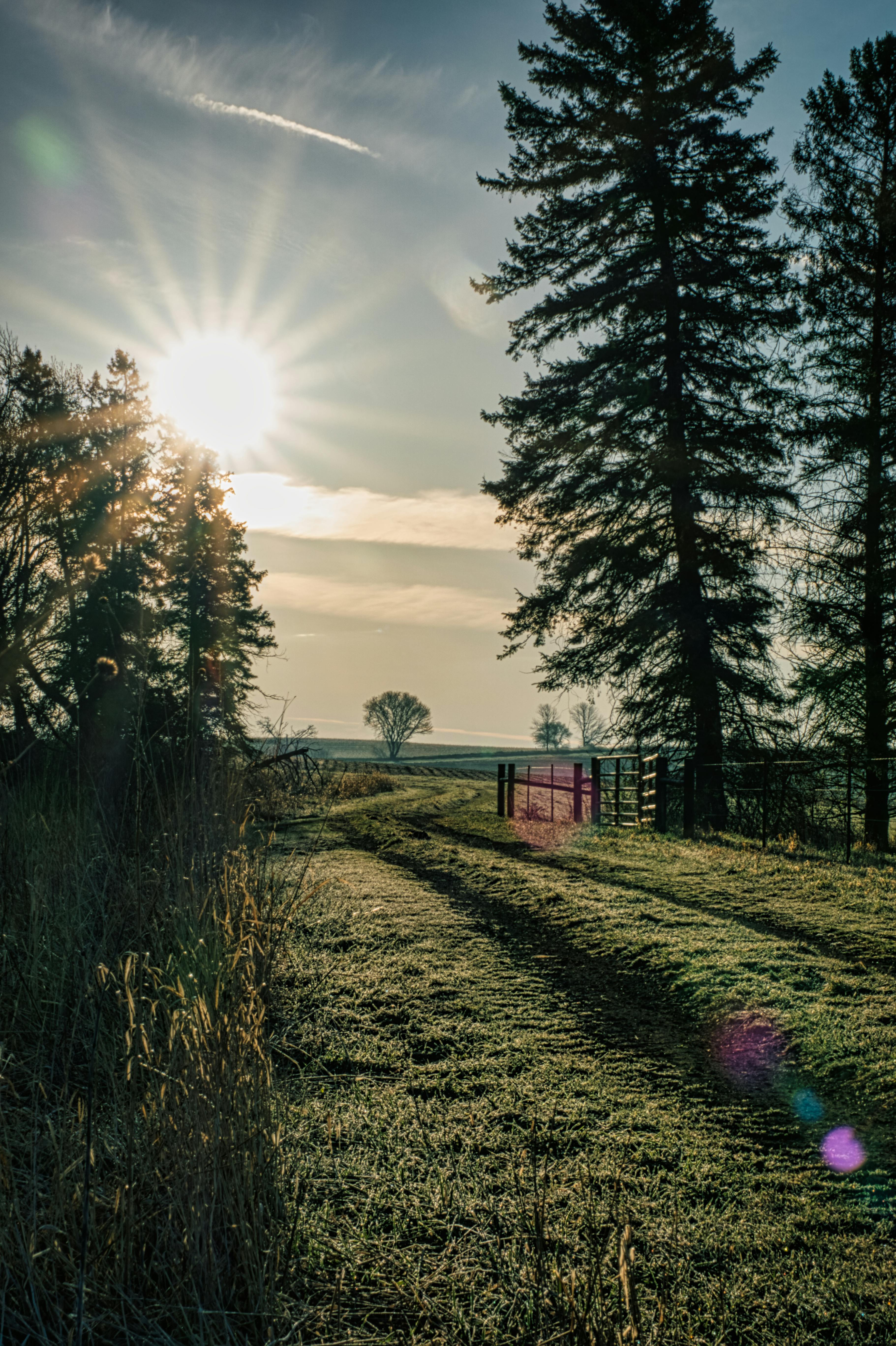 Sunrise over Field in Countryside · Free