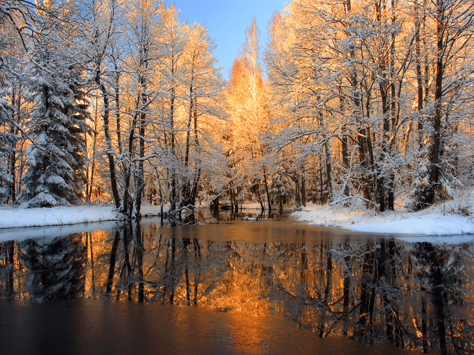 Cozy Winter Wallpaper