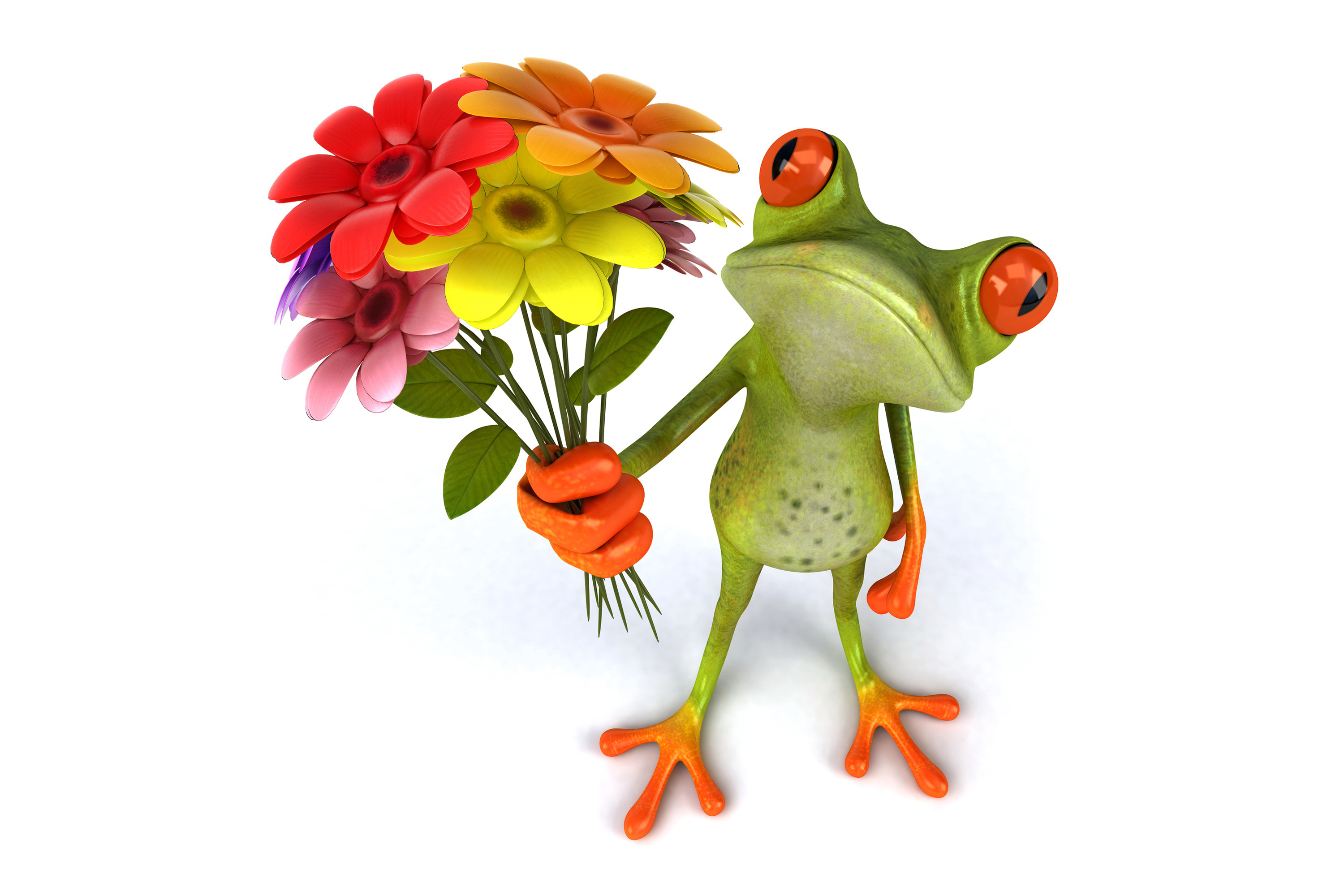 Wallpaper frog, frog, flowers, funny
