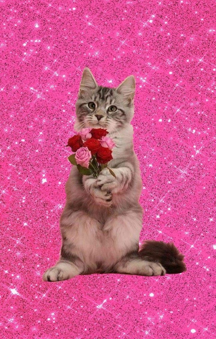 Cute Cat with Flower