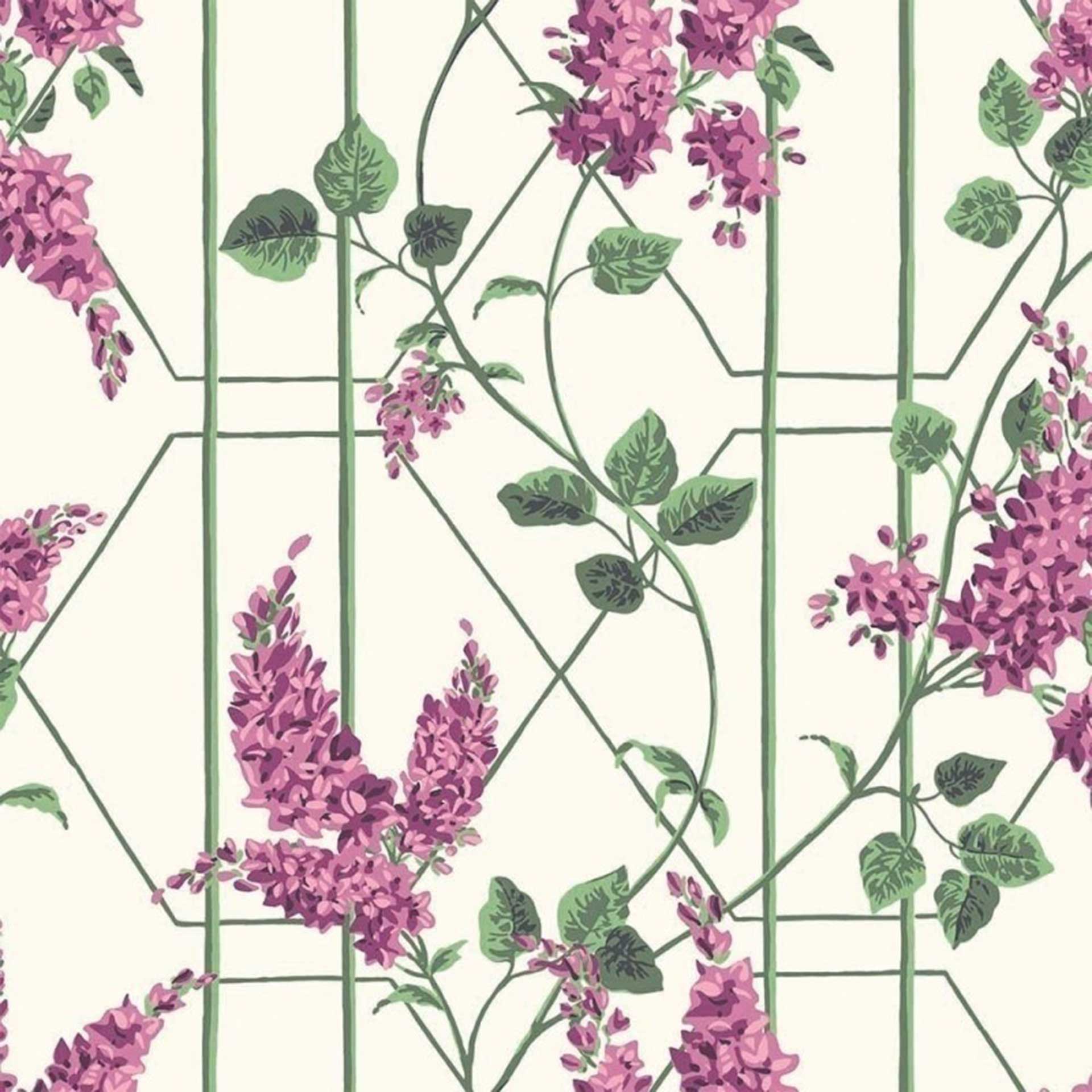 Wisteria Wallpaper by Cole & Son