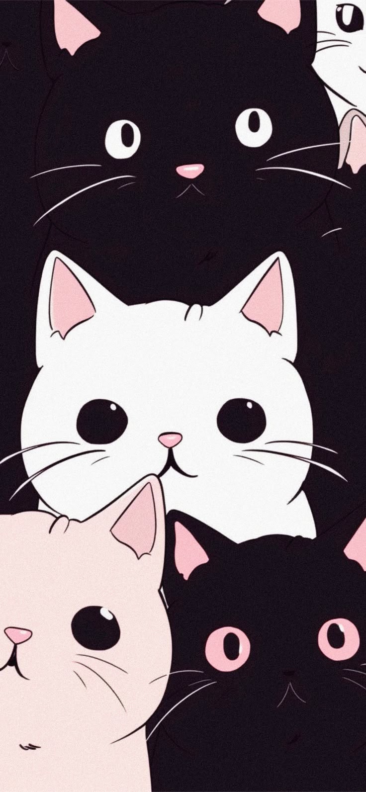 Funny Cats Aesthetic Wallpaper