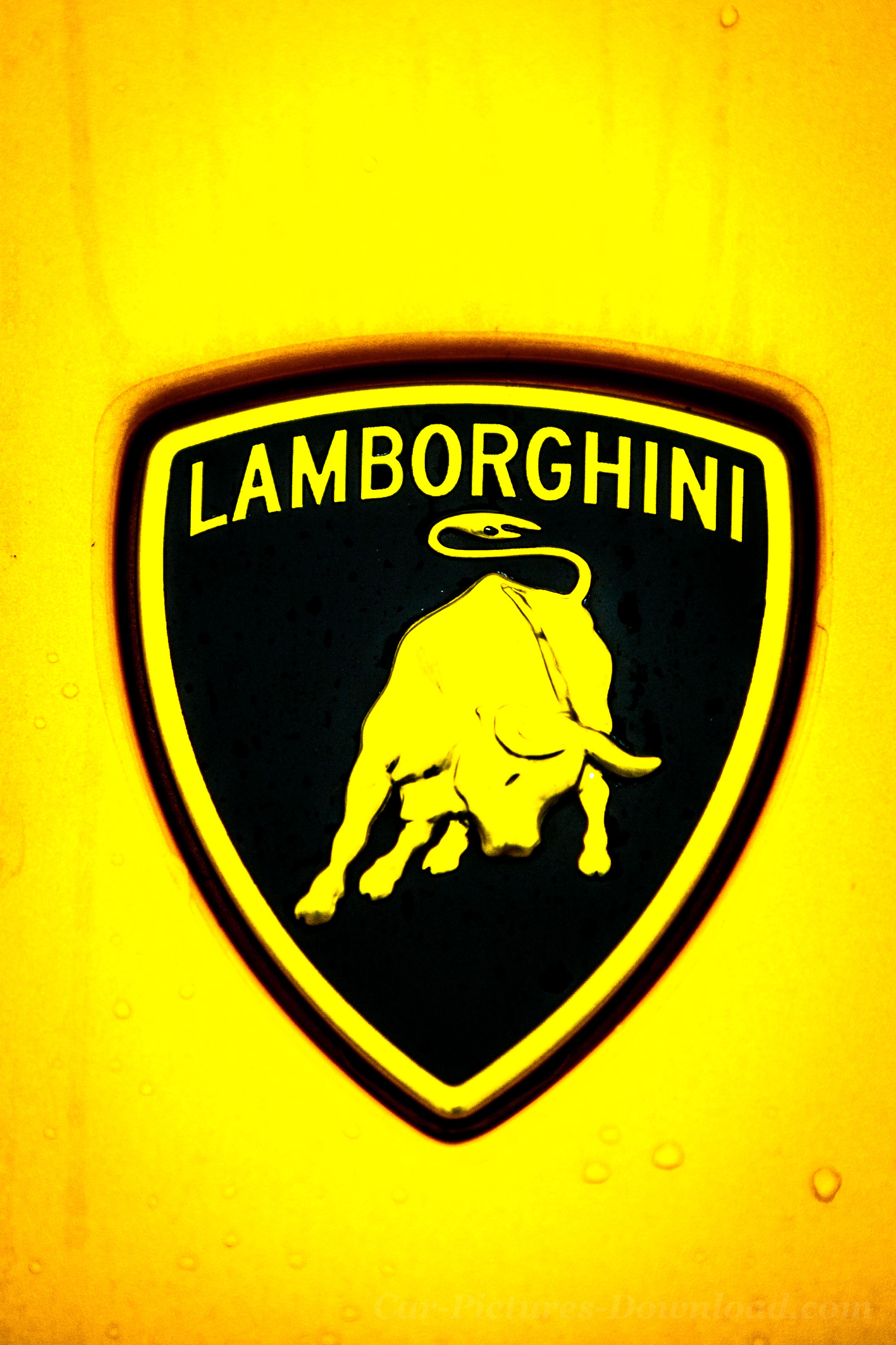 Lamborghini Logo Wallpaper