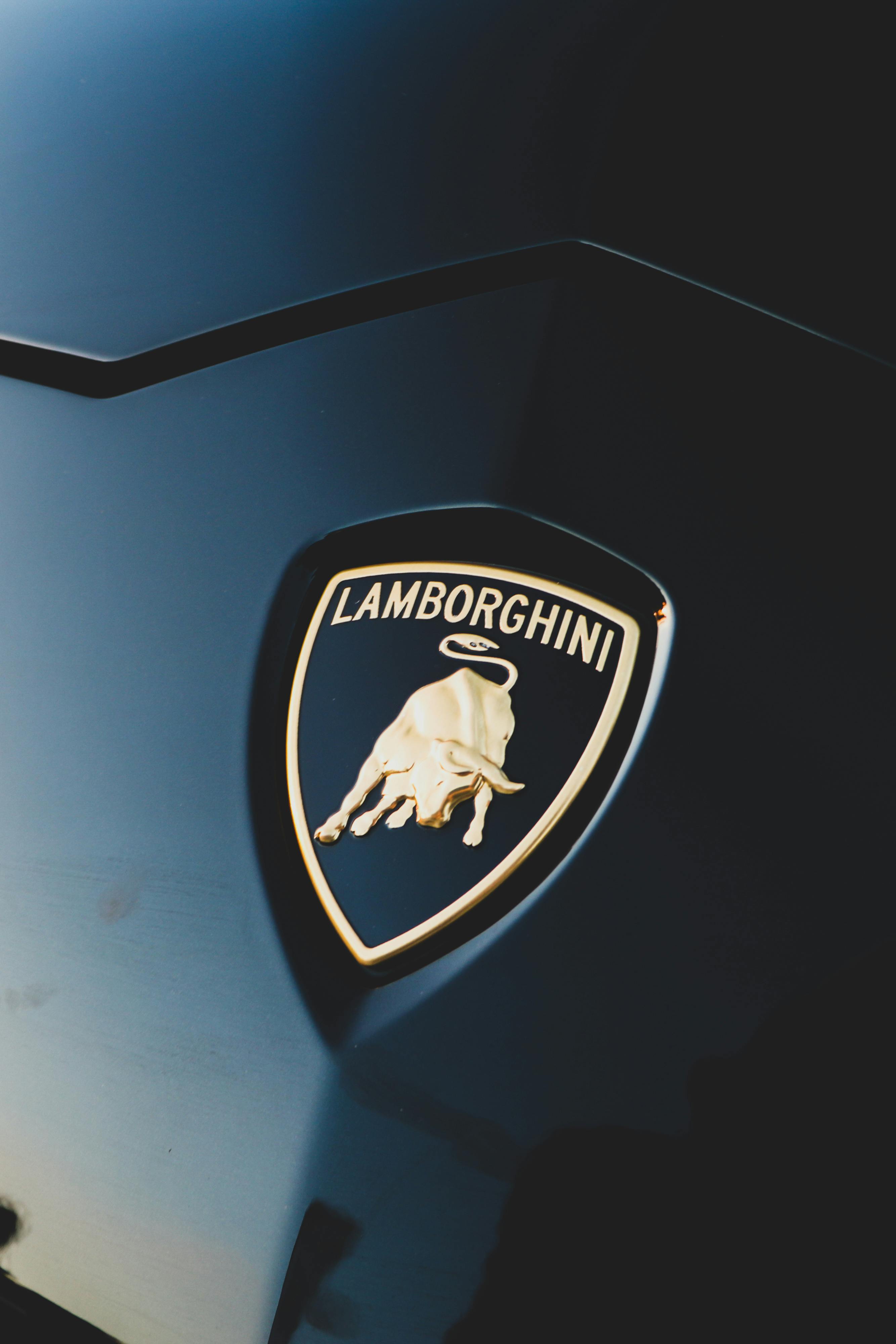 Lamborghini Logo on a Black Surface