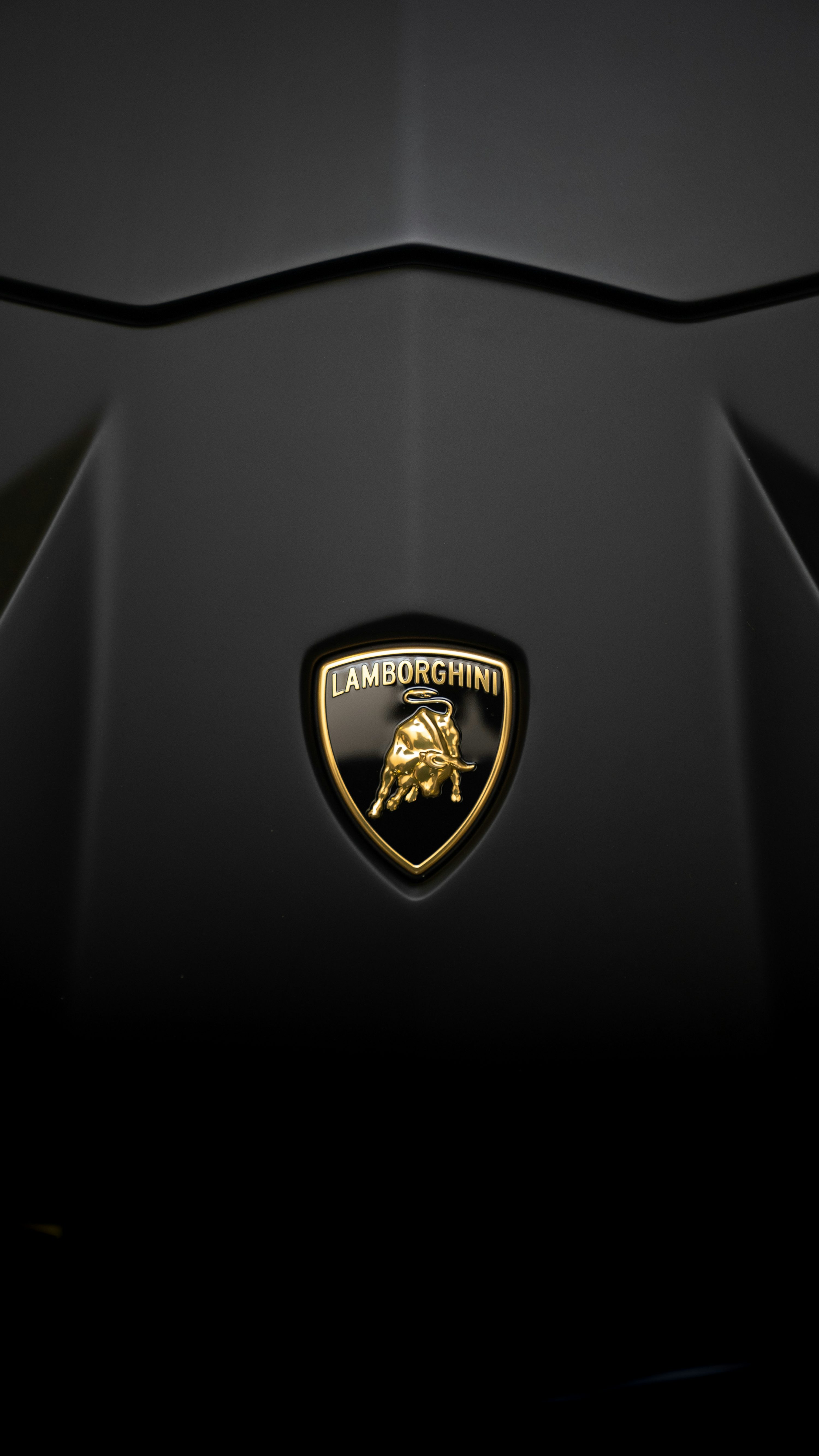 A lamb logo on the hood of a car photo