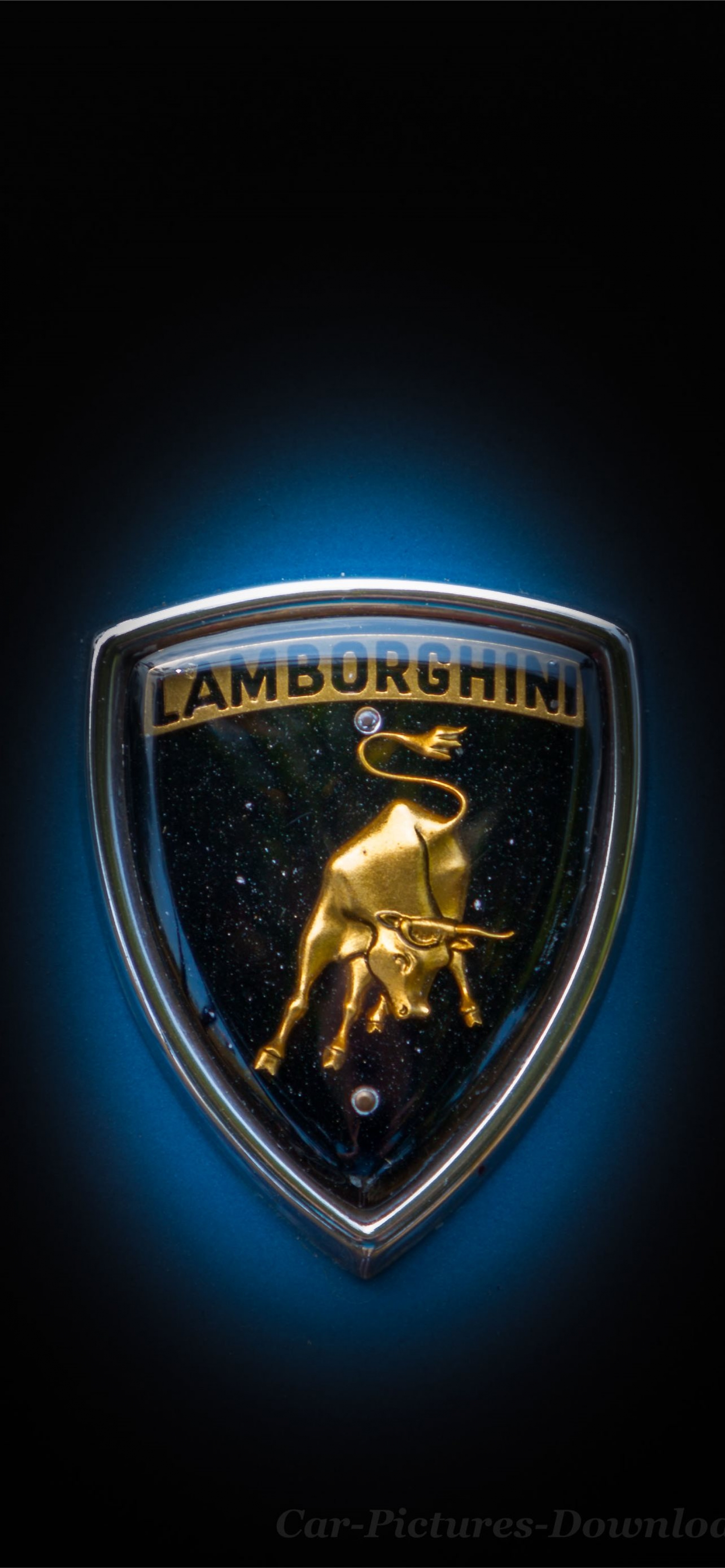 Lamborghini Logo 3D Decal