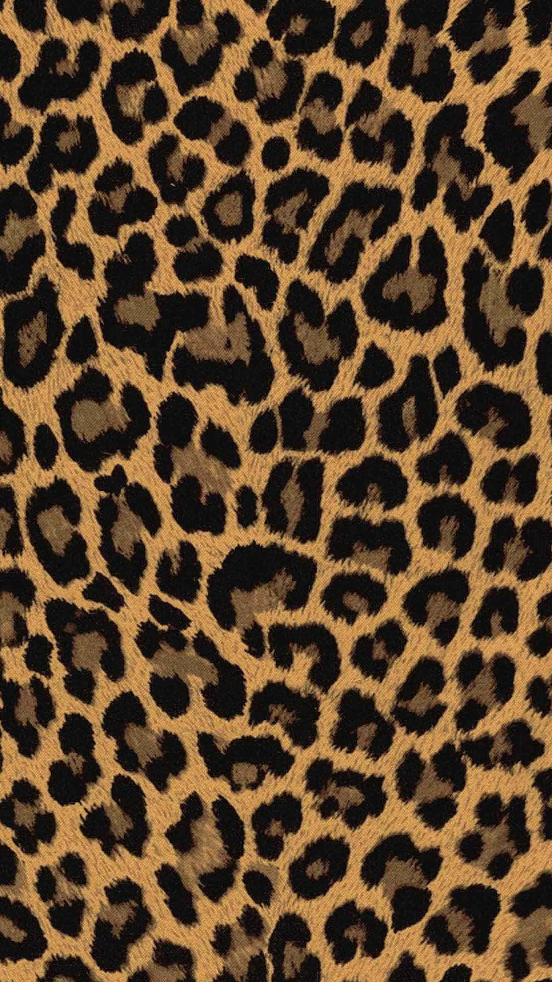 Animal Print iPhone Wallpaper