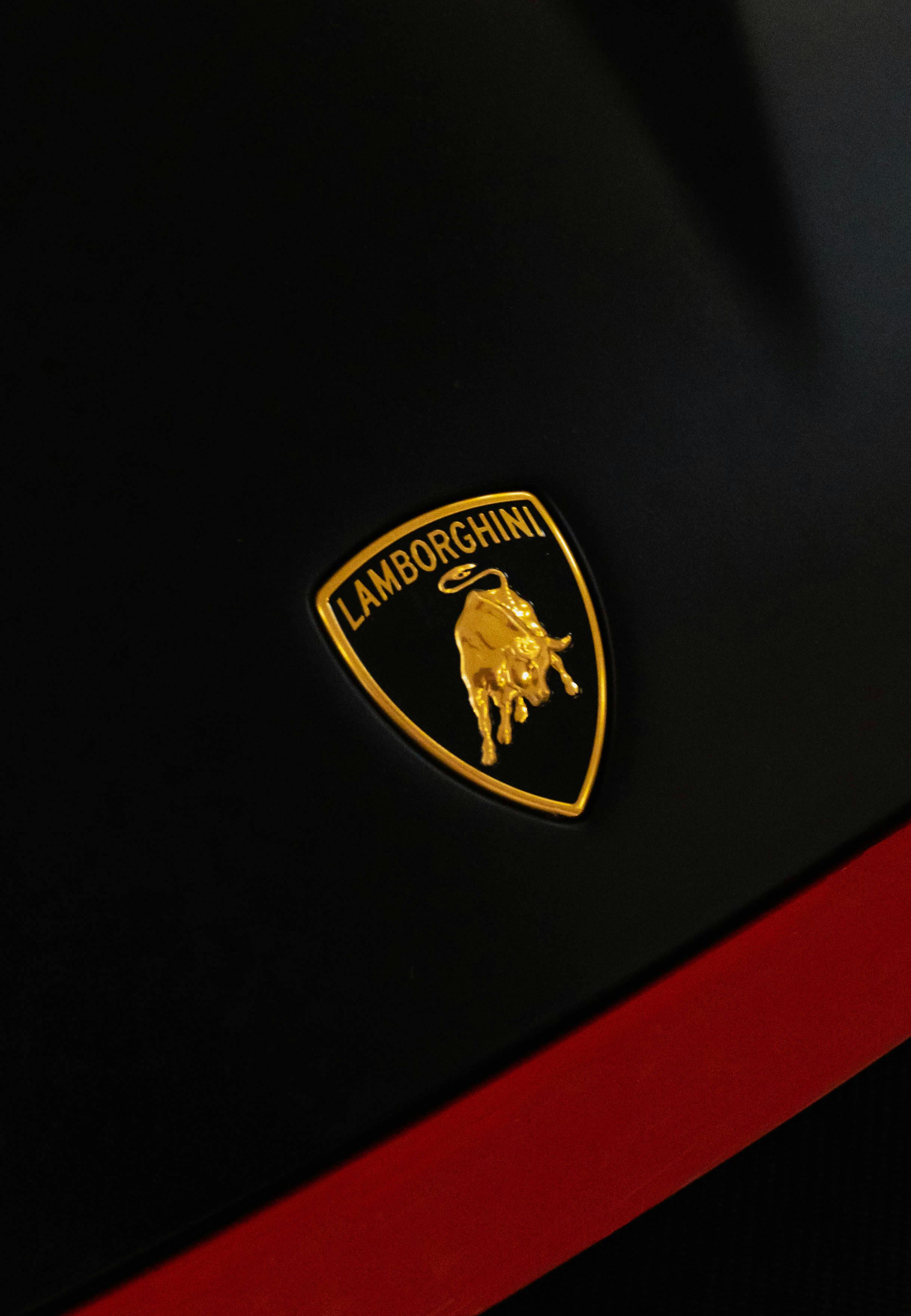 Lamborghini Logo badge on Hood of Black