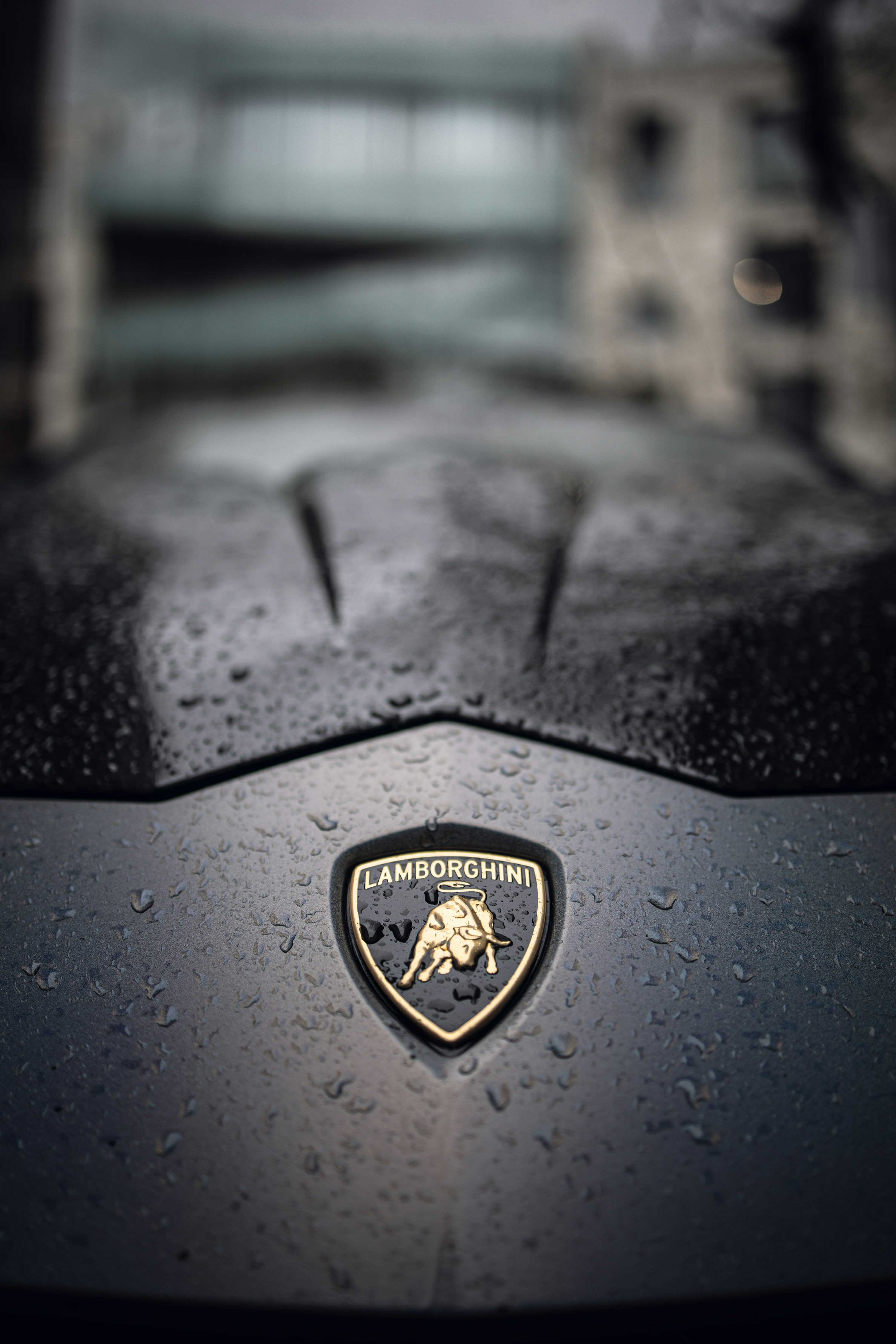 A lamb logo on the hood of a car photo